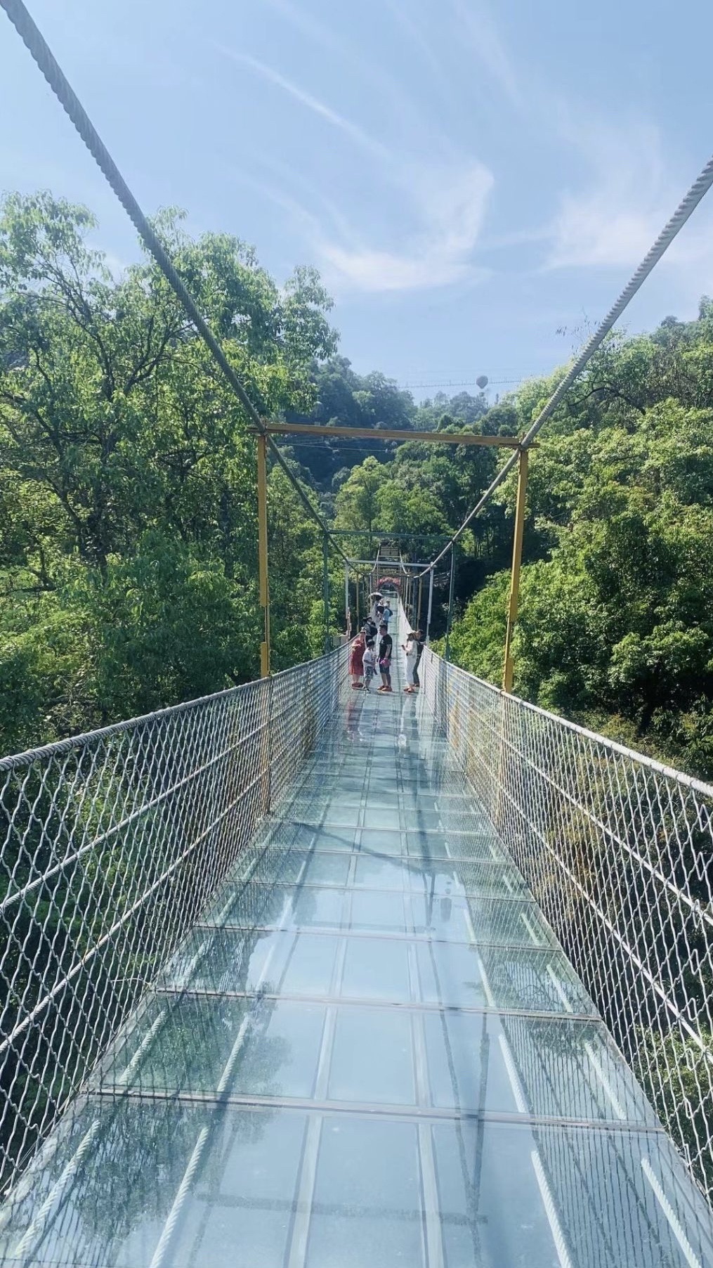 双龙沟原始森林景区旅行图片 2