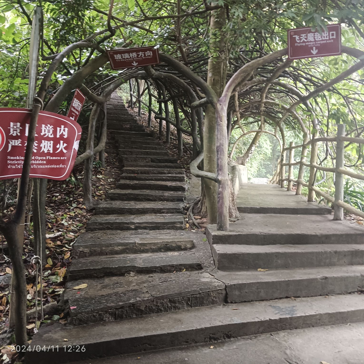 双龙沟原始森林景区旅行图片 2