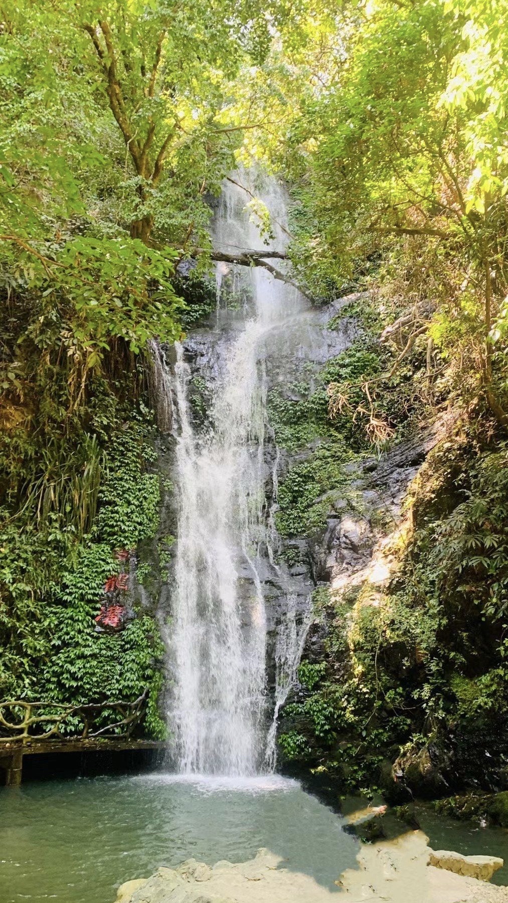 双龙沟原始森林景区旅行图片 3