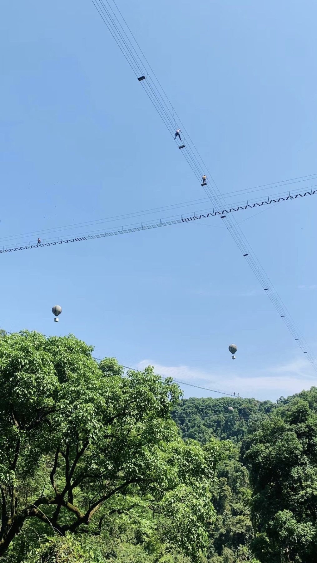 双龙沟原始森林景区旅行图片 1