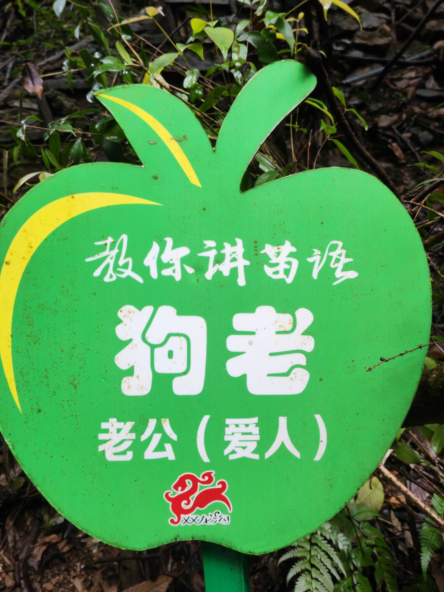 双龙沟原始森林景区旅行图片 2