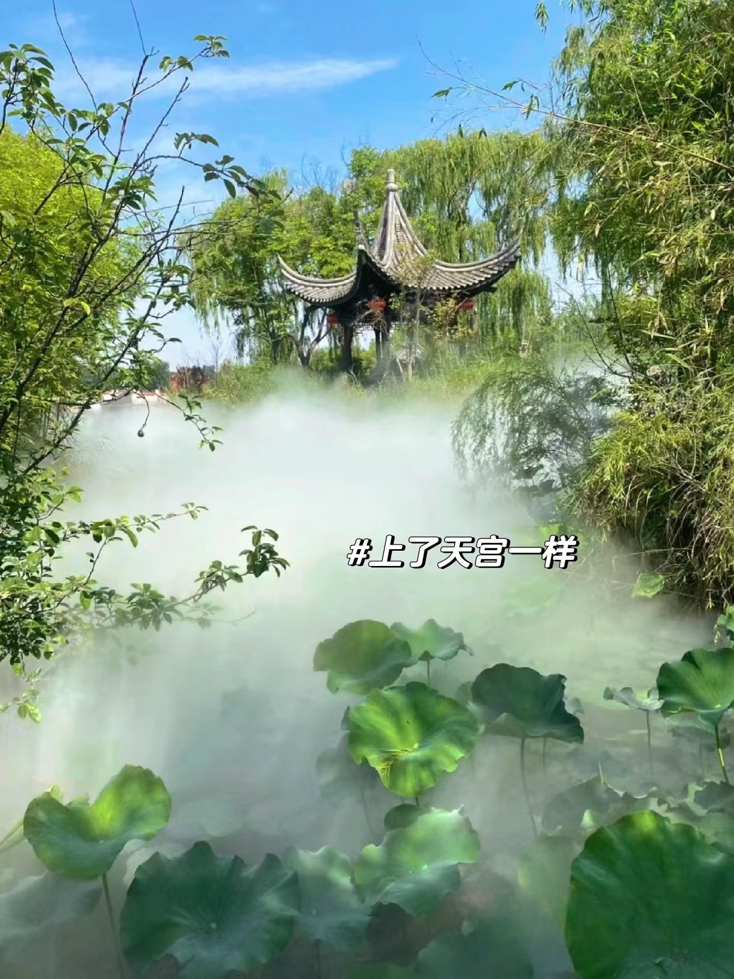 朱仙镇启封故园旅行图片 3