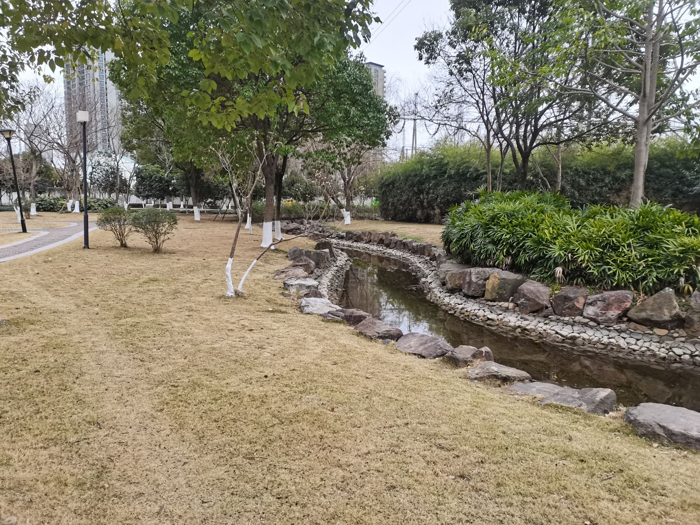犁头垟公园旅行图片 2
