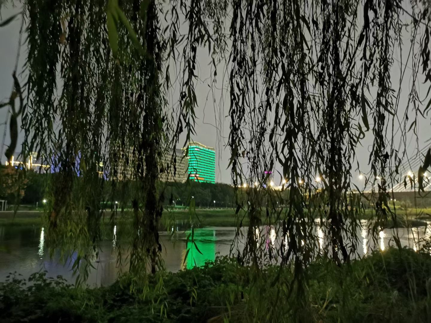 义乌江滨绿廊公园旅行图片 2