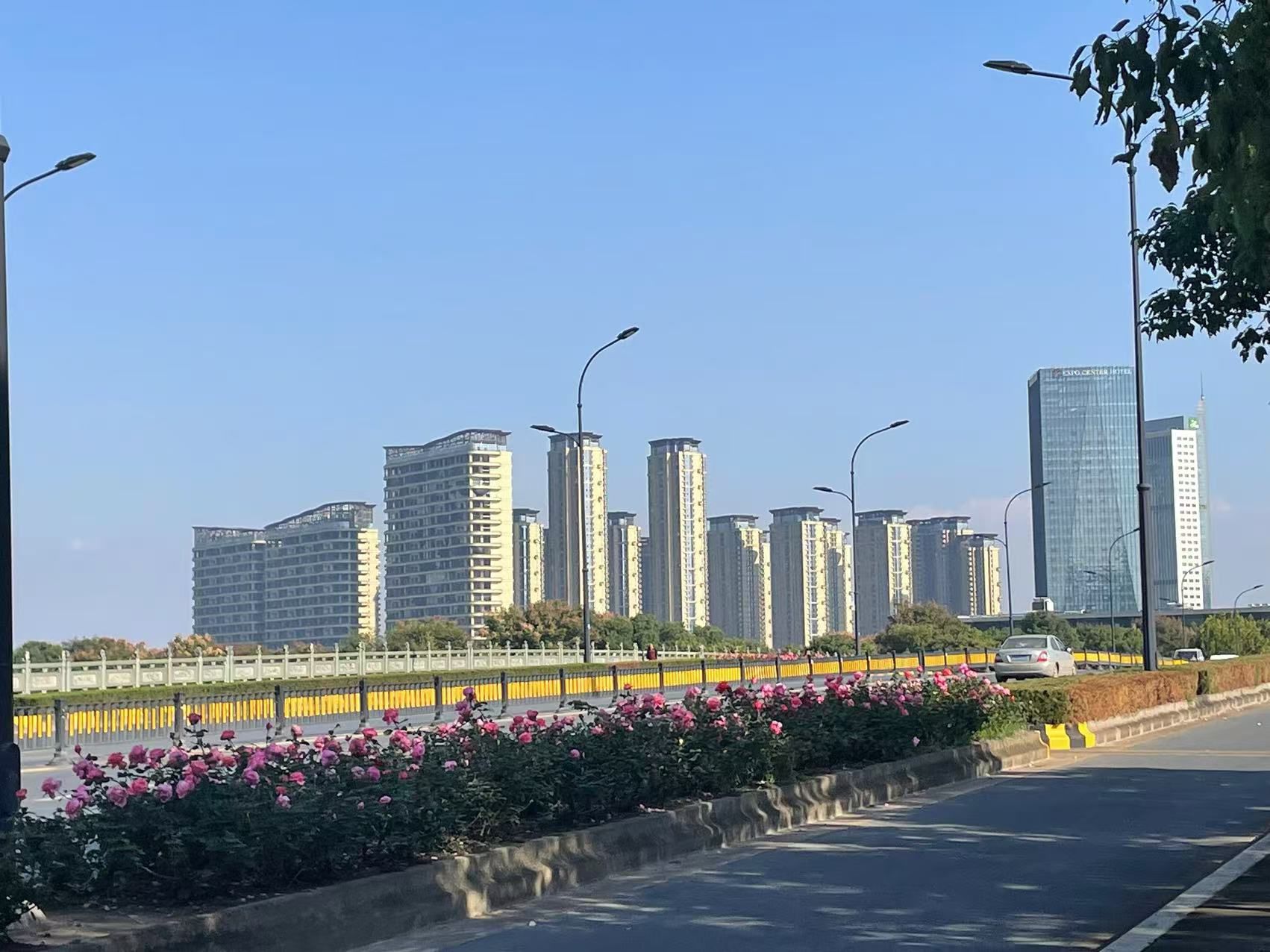 义乌江滨绿廊公园旅行图片 3