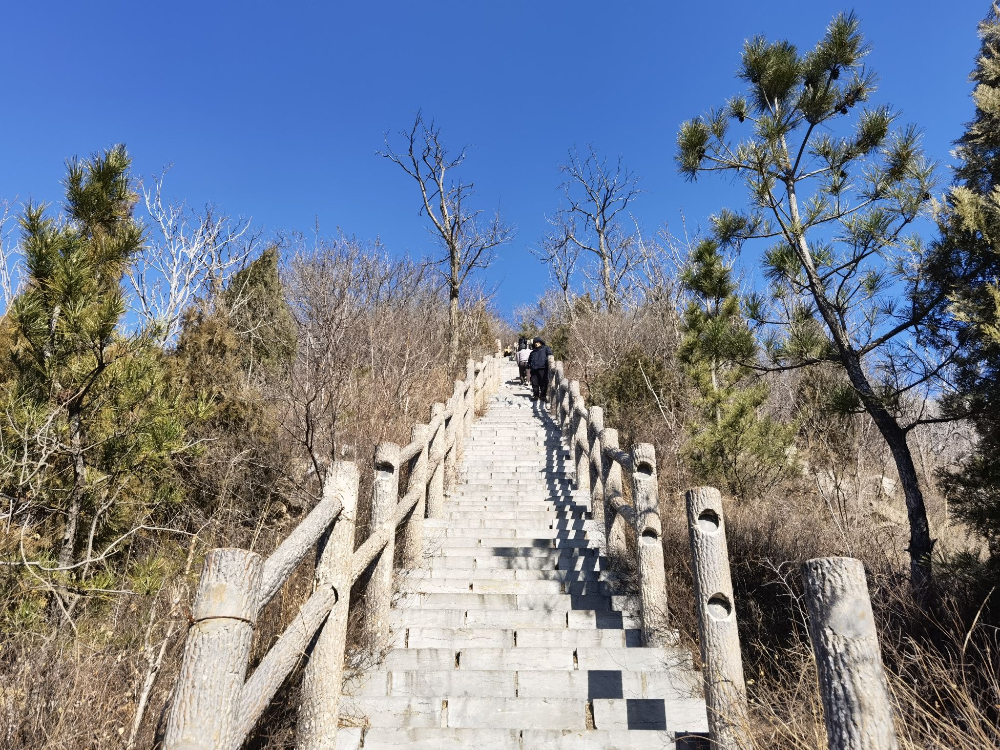 凤凰山景区旅行图片 3