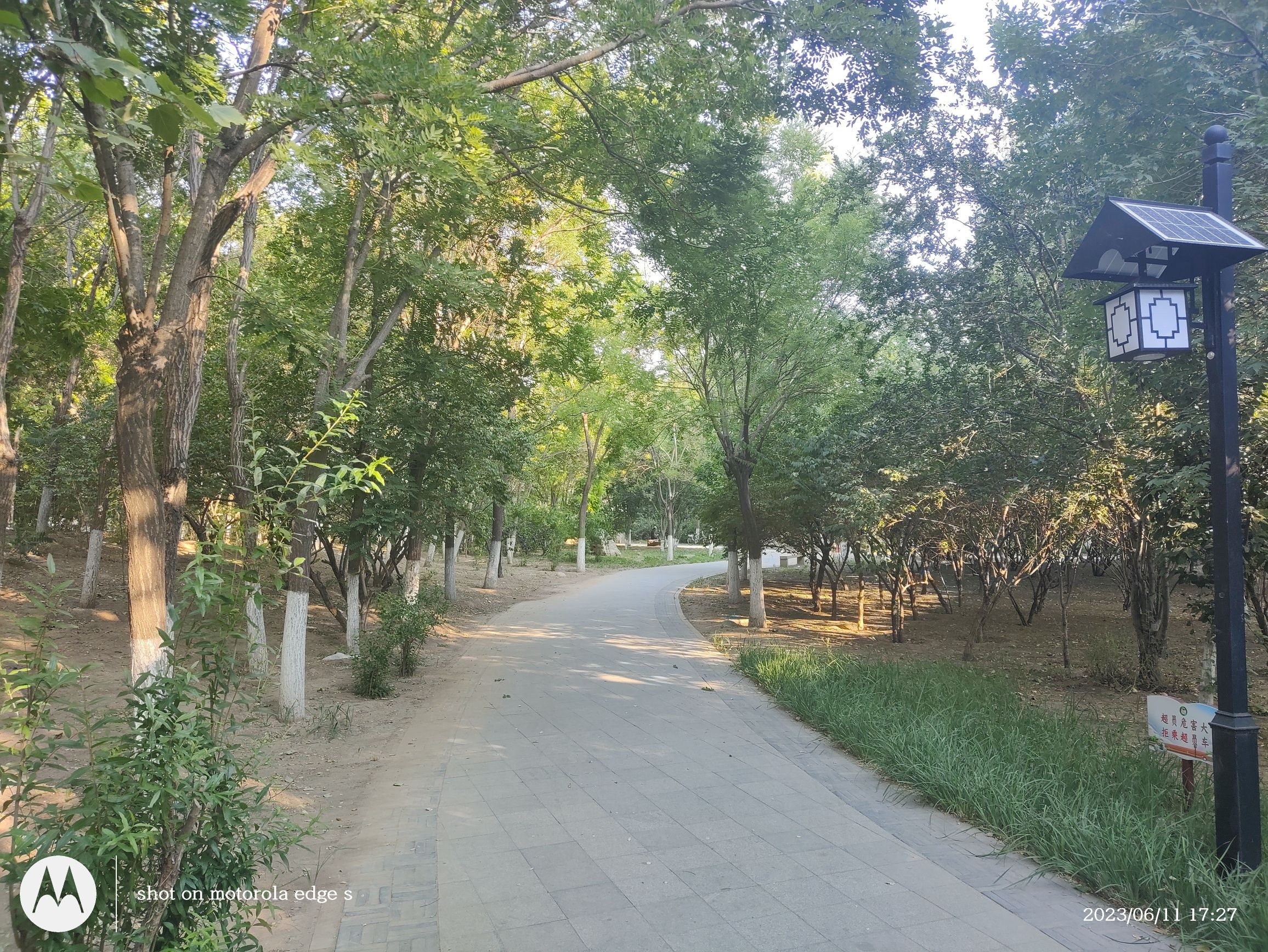 盐坨公园旅行图片 3
