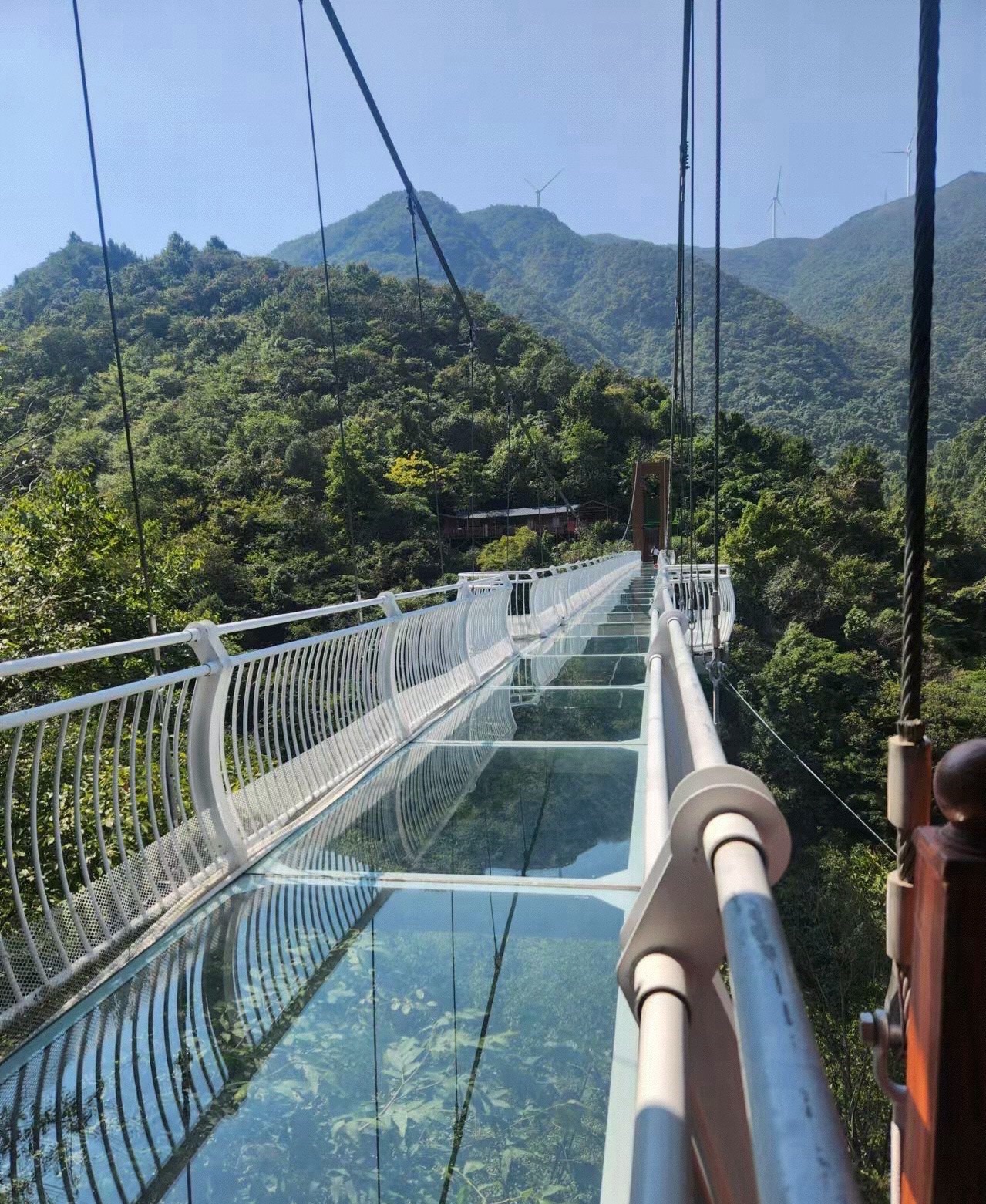龙津溪地景区旅行图片 2