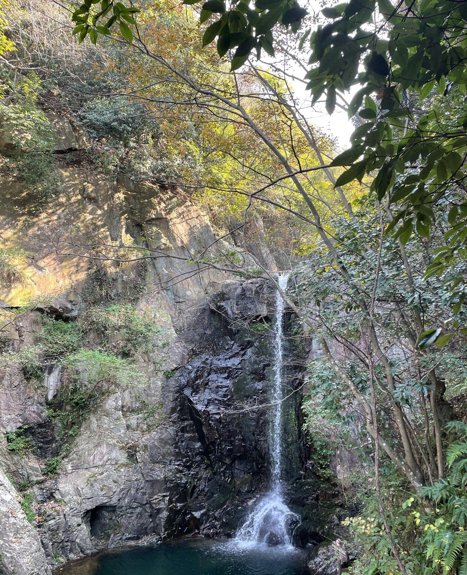 龙津溪地景区旅行图片 1