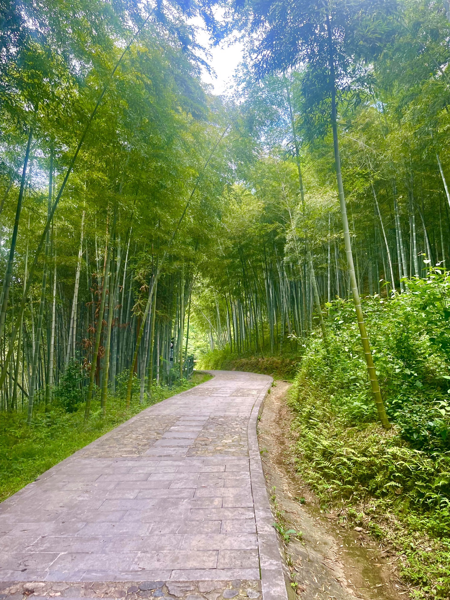 龙津溪地景区旅行图片 3