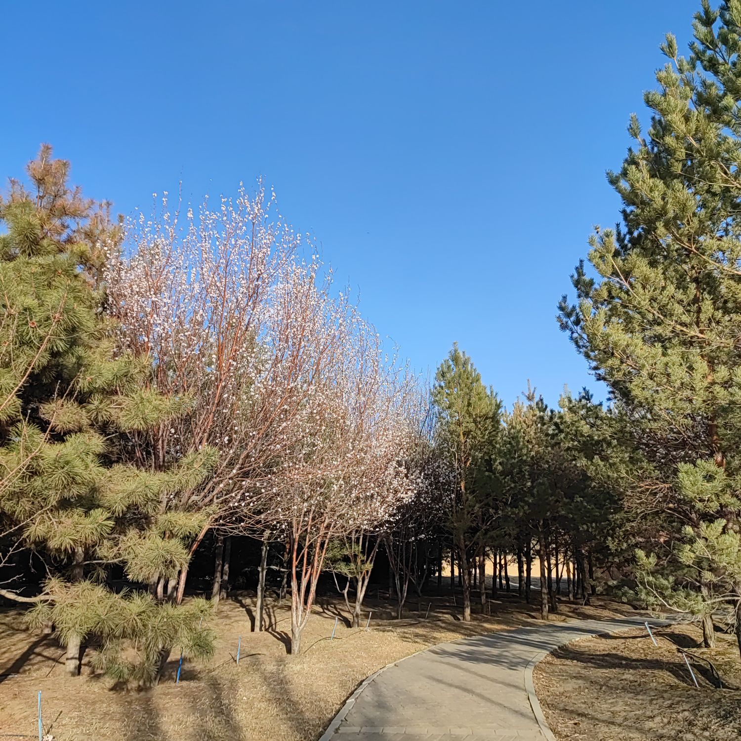 大水卜洞地质公园旅行图片 2