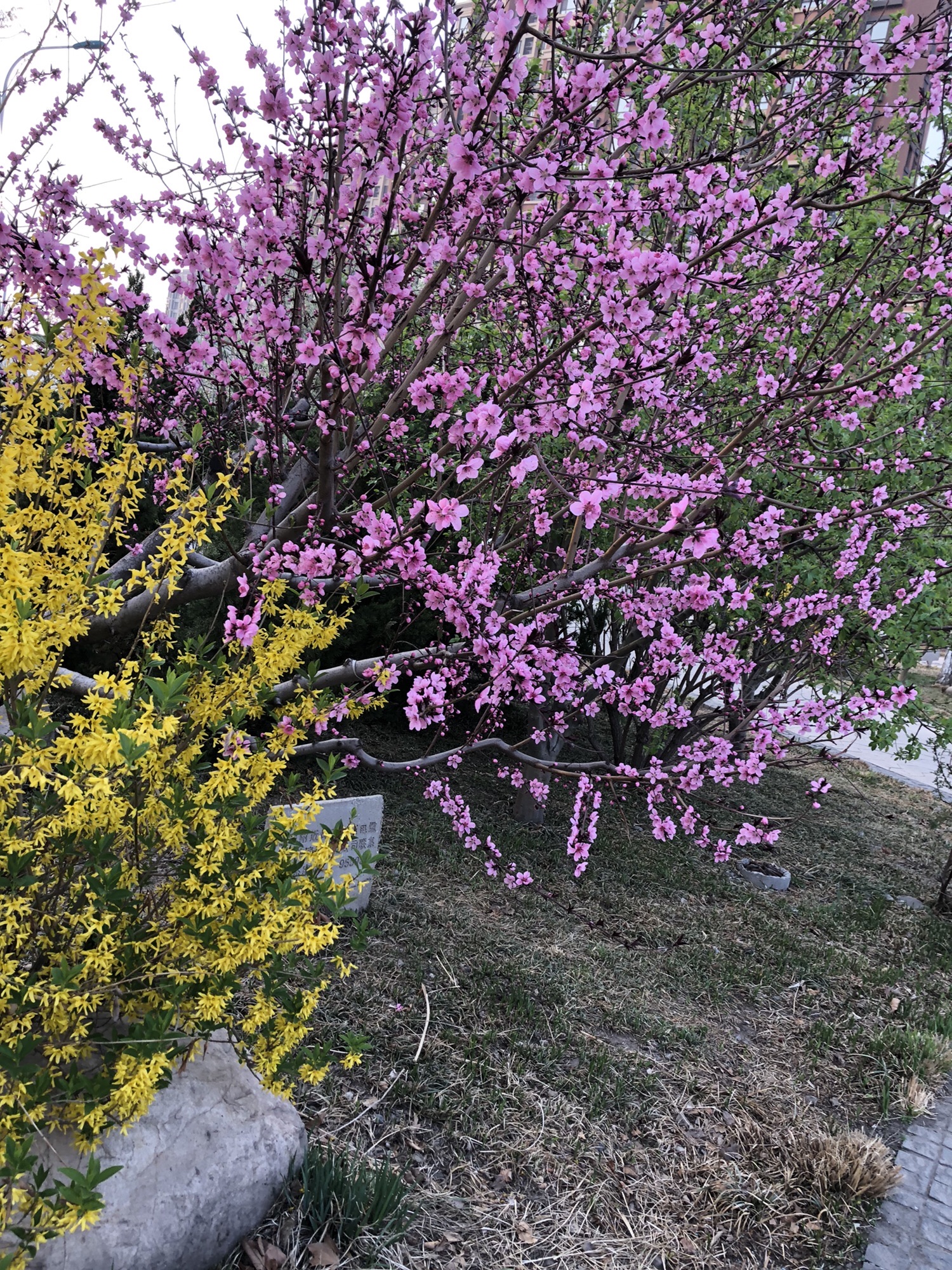 生态城印象海堤公园旅行图片 2