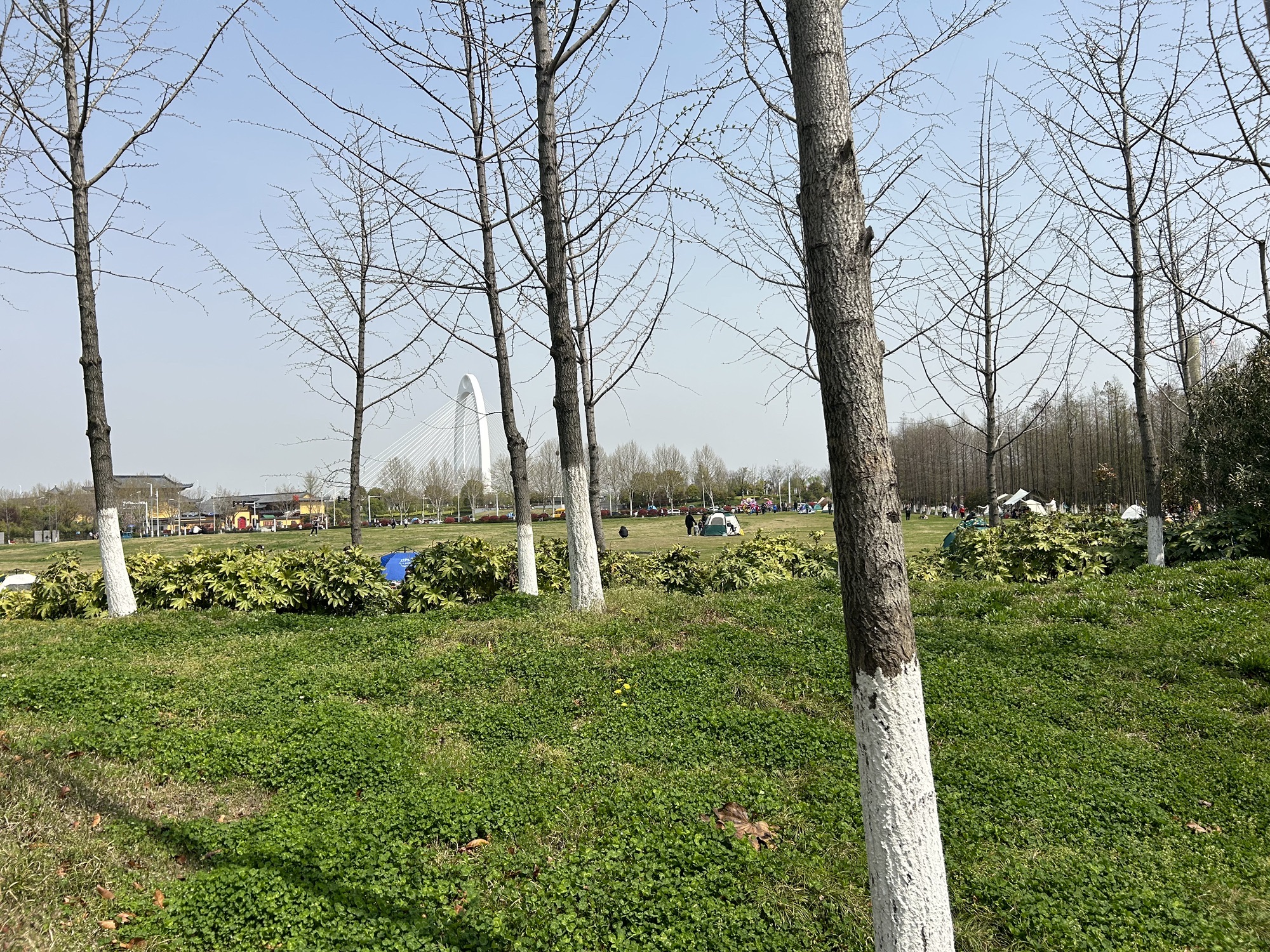 莉湖公园旅行图片 3
