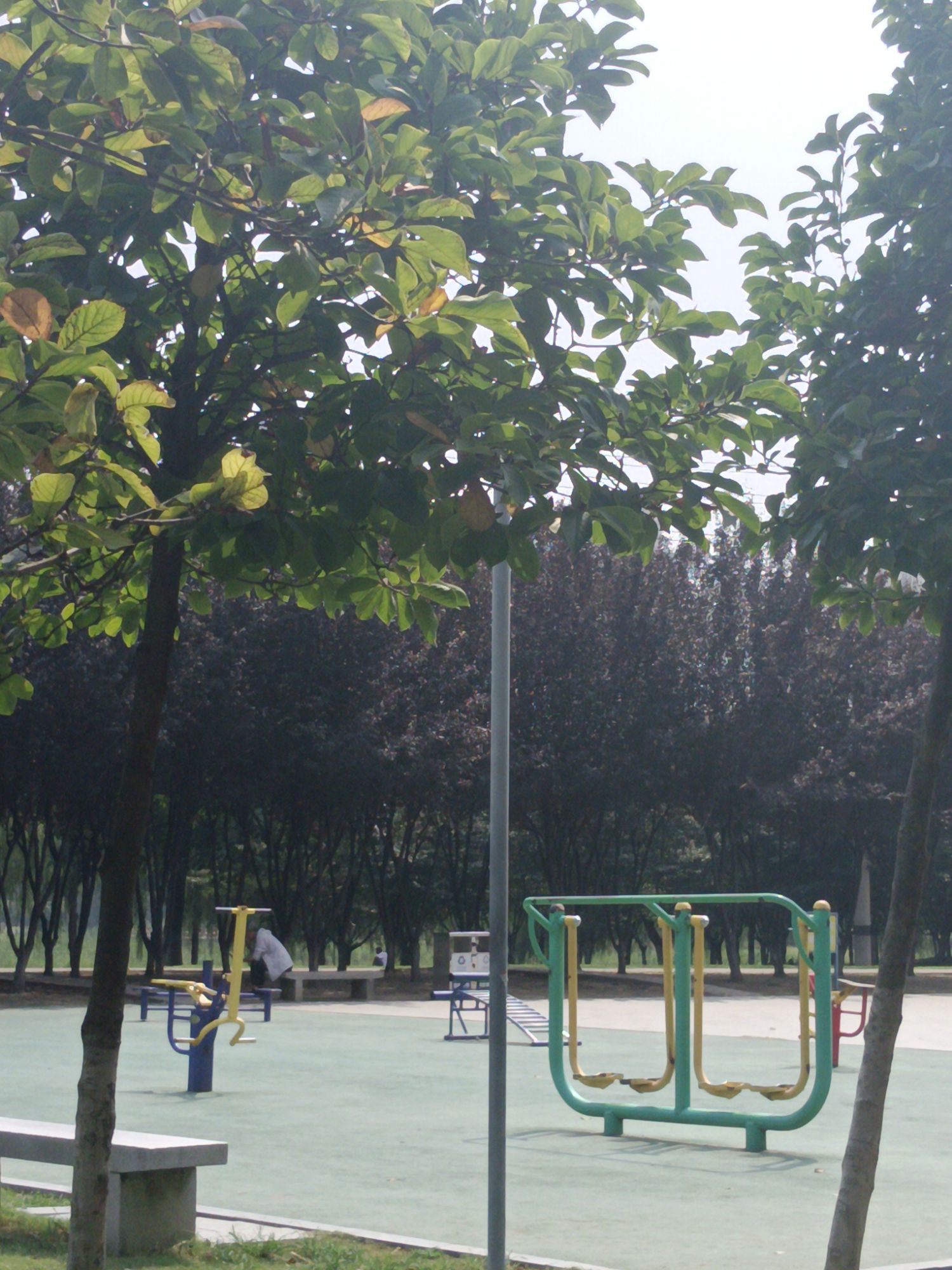 五一公园旅行图片 3