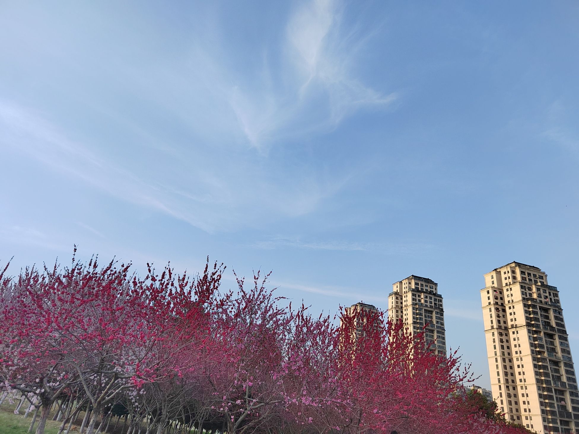 五一公园旅行图片 3