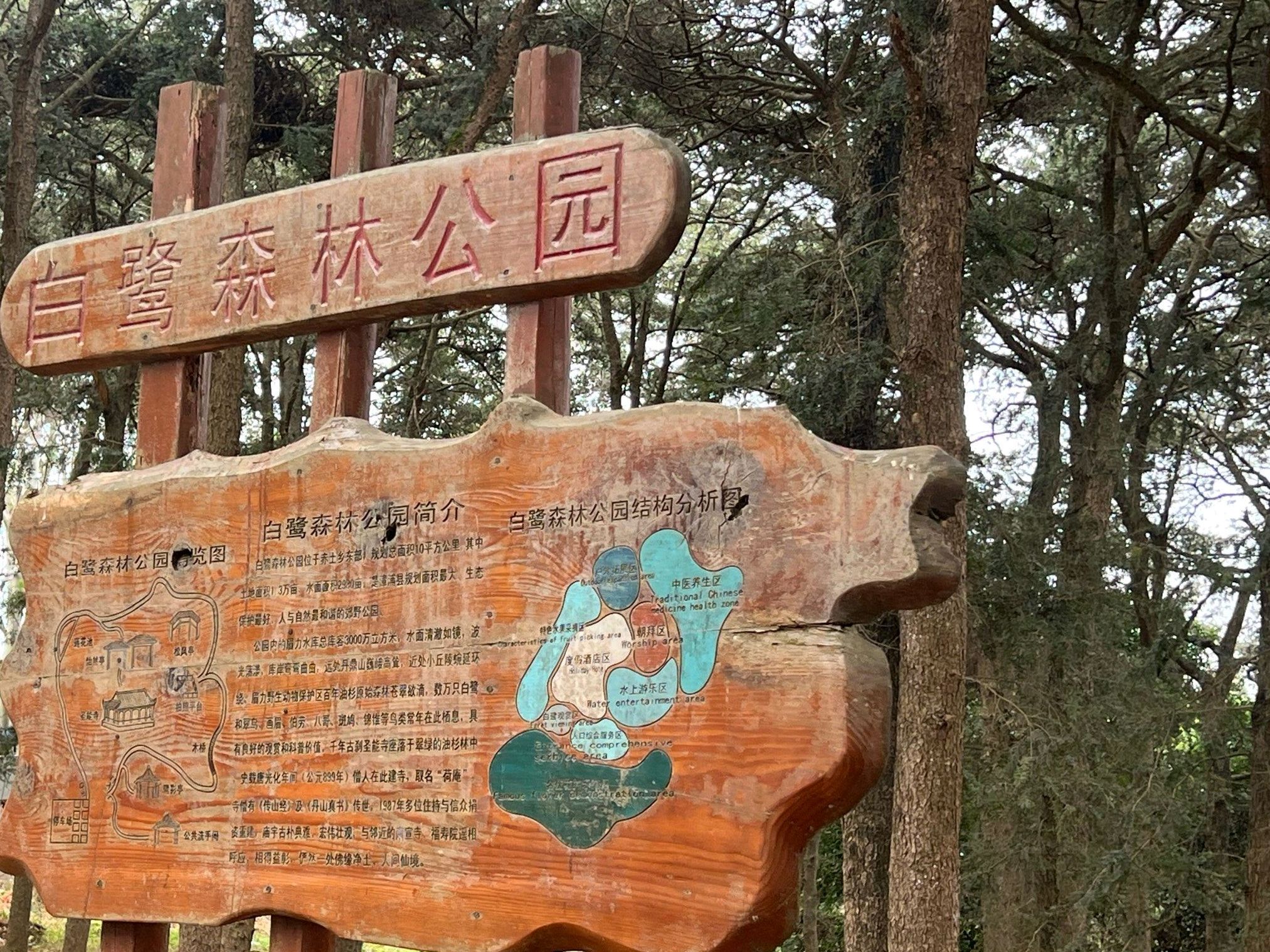白鹭森林公园旅行图片 3