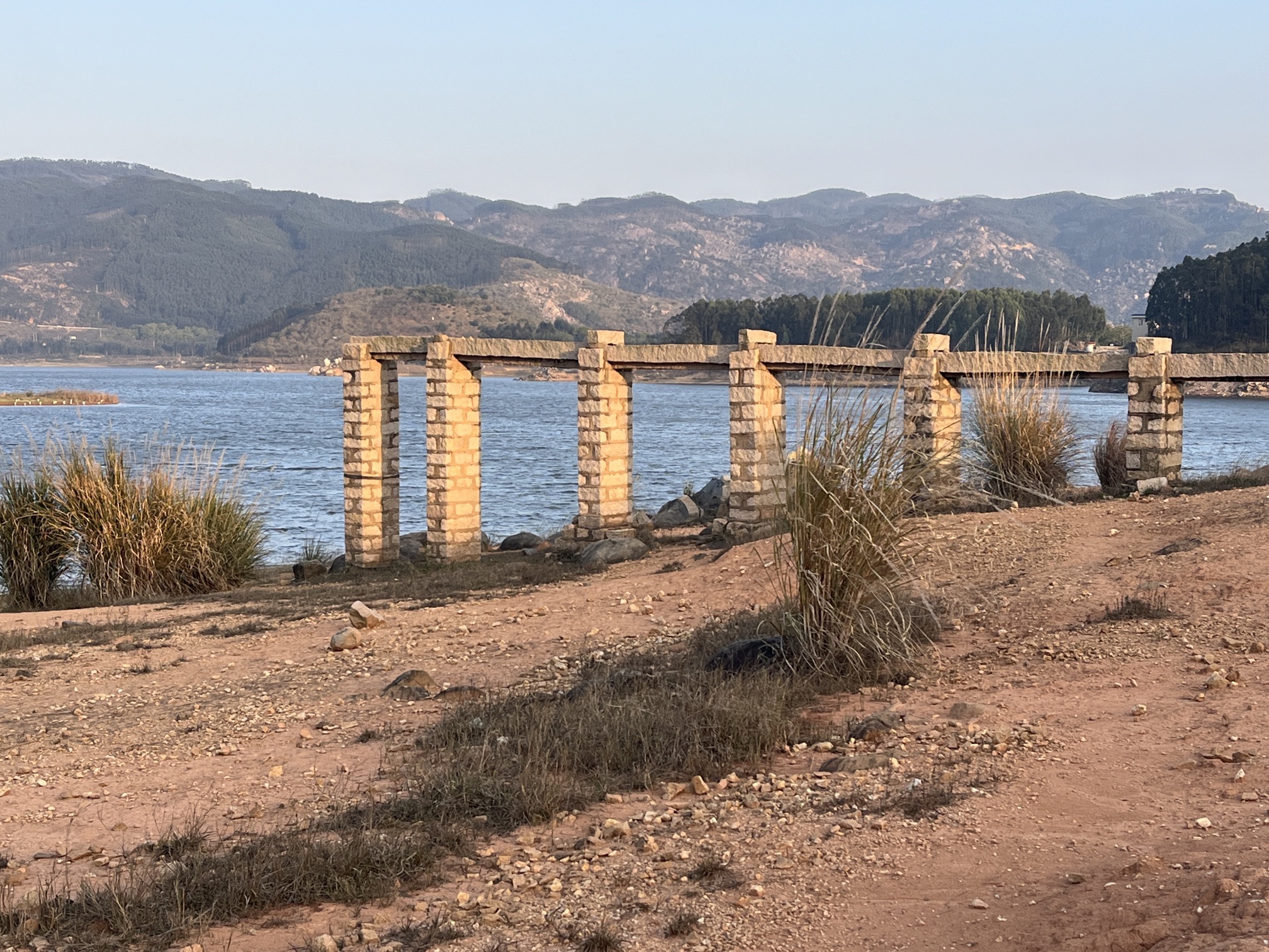 白鹭森林公园旅行图片 1