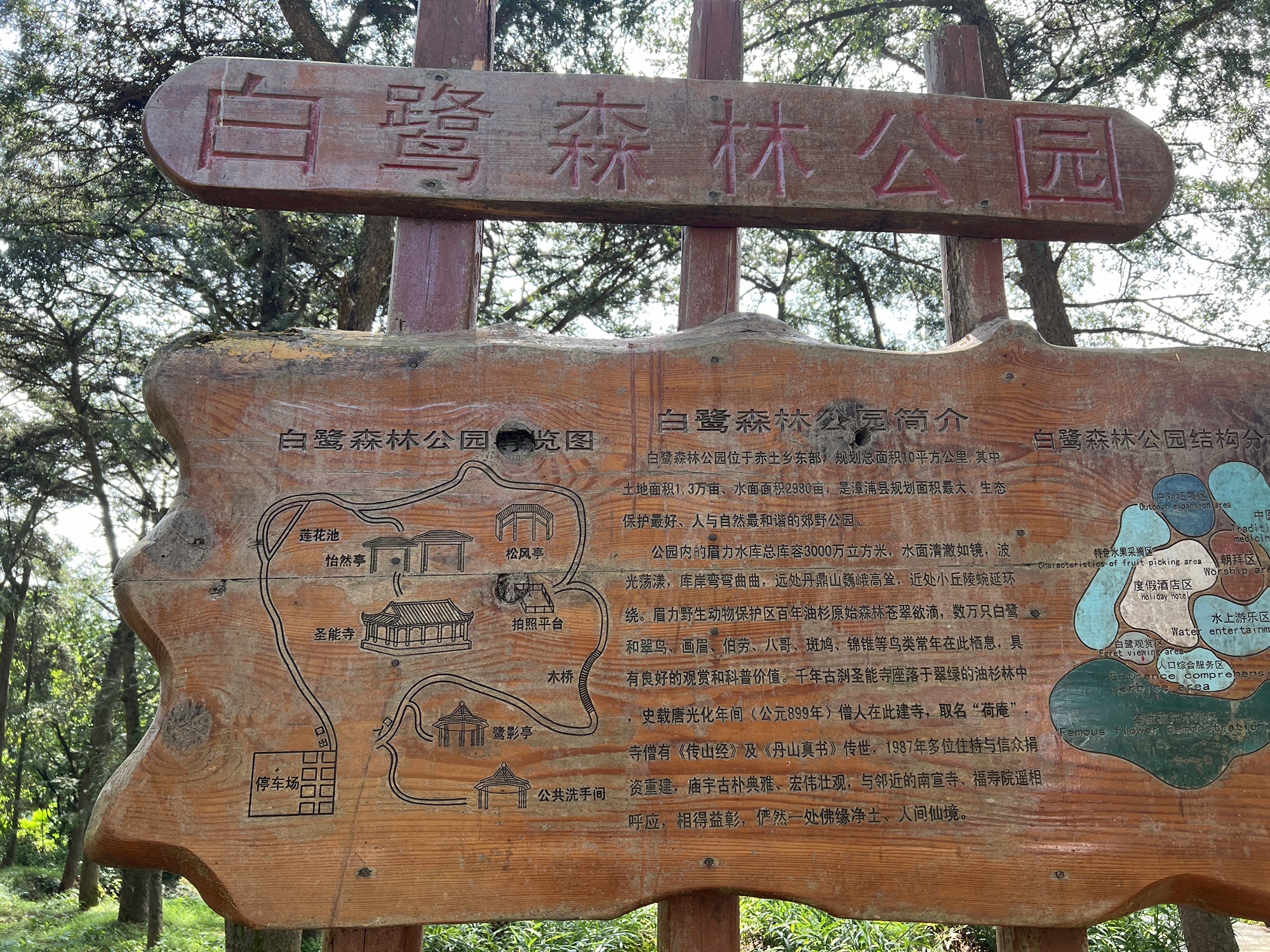 白鹭森林公园旅行图片 2