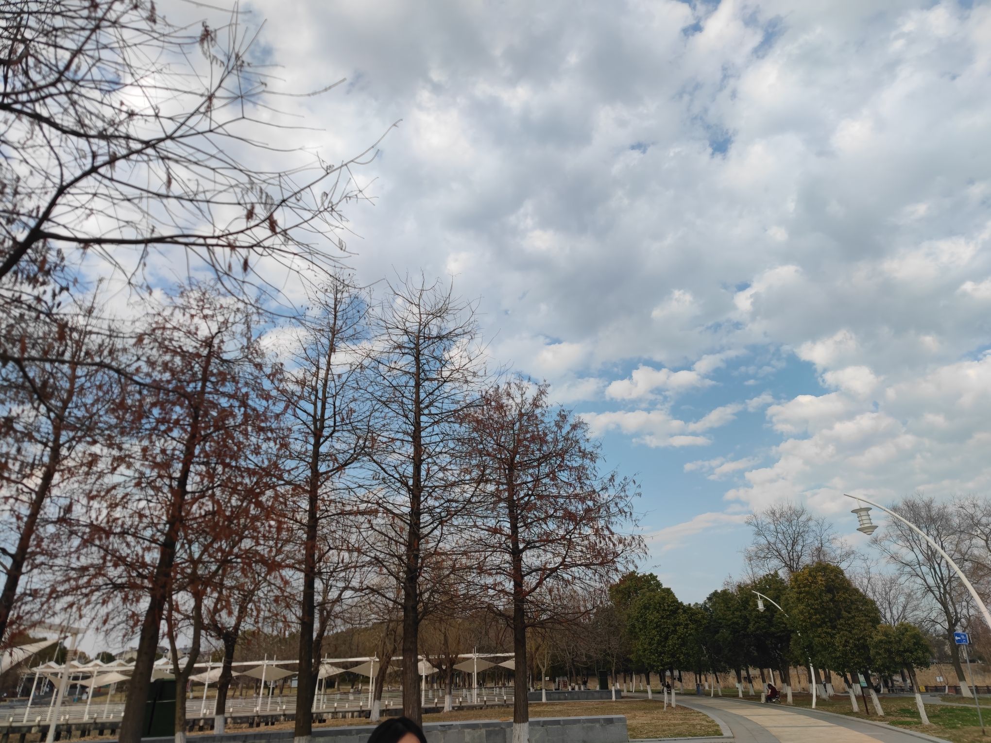 濑渚州公园旅行图片 3