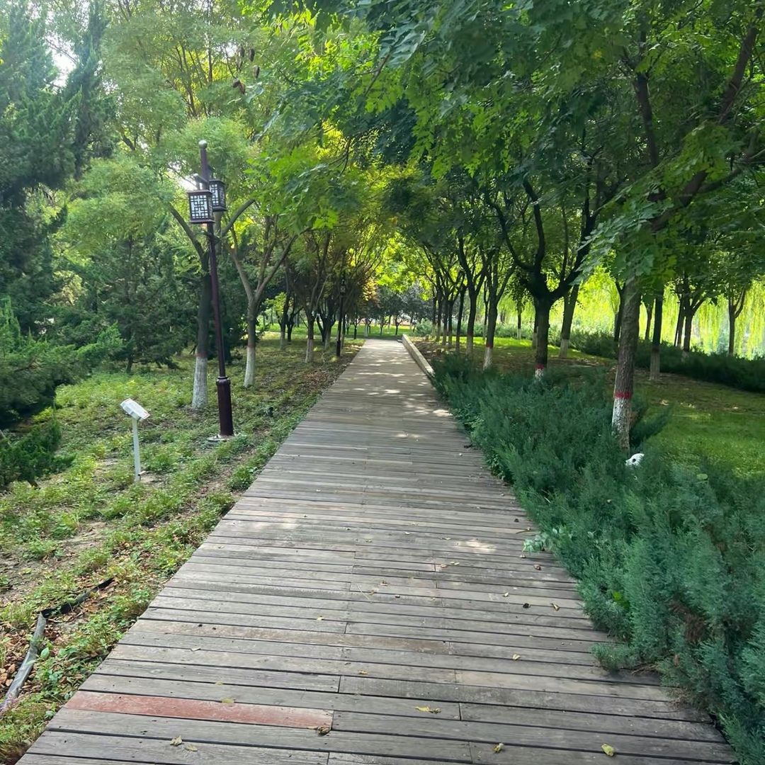 新华公园旅行图片 1