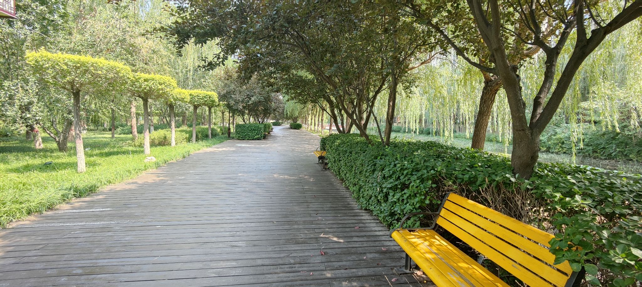 新华公园旅行图片 2
