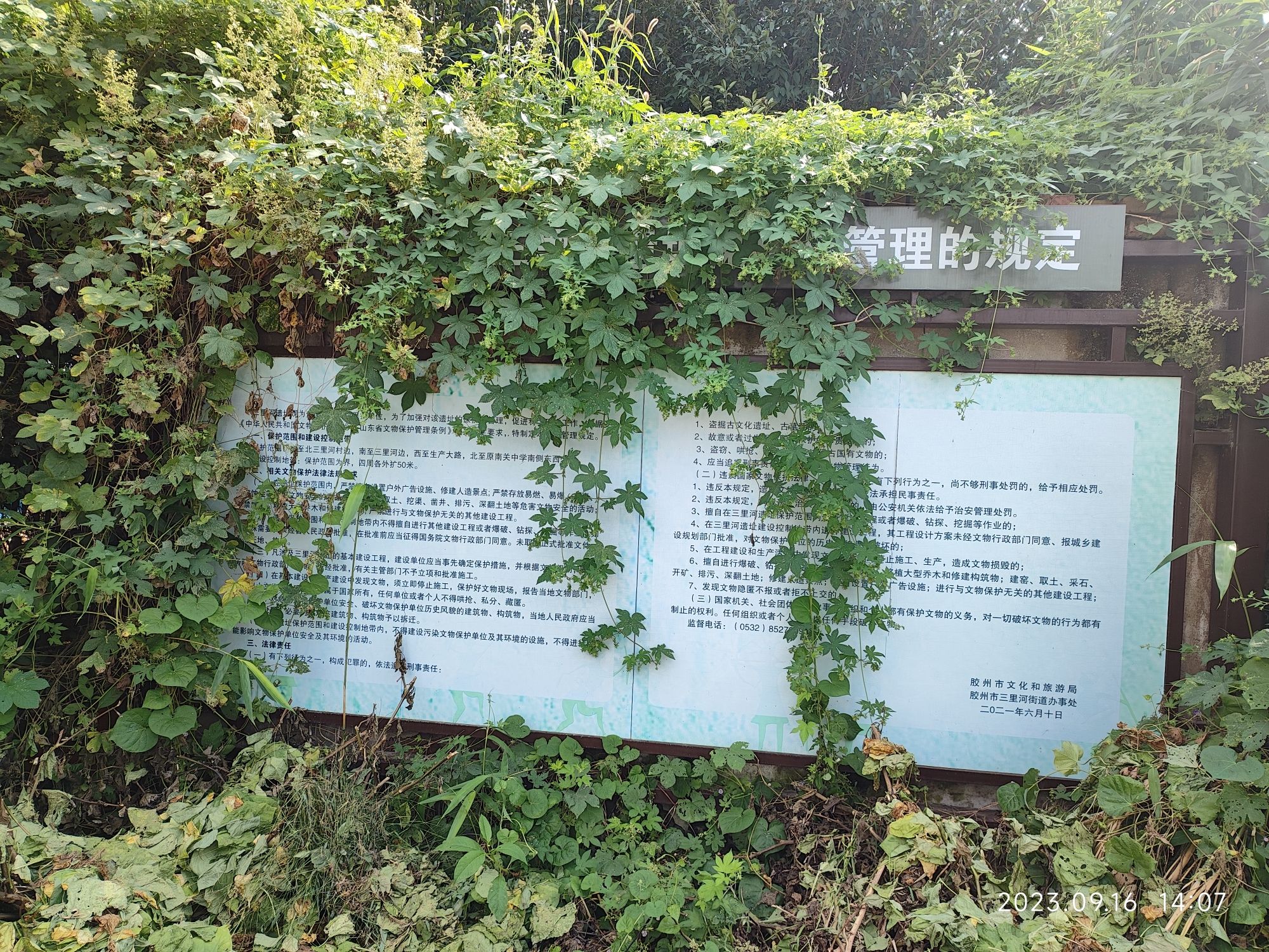 三里河文化遗址旅行图片 1