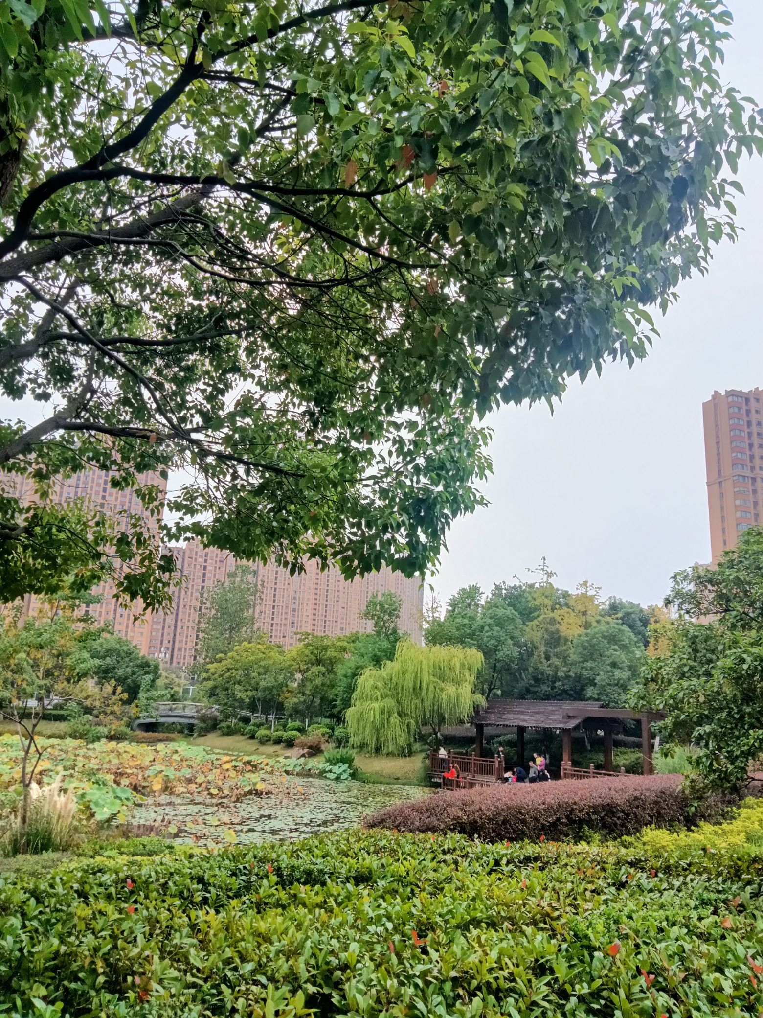 茉湖公园旅行图片 3