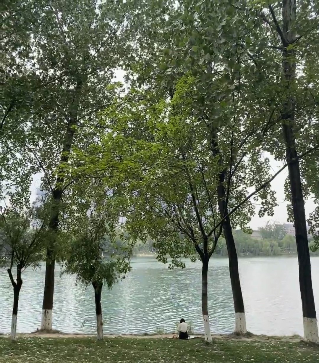 湖东市民公园旅行图片 2