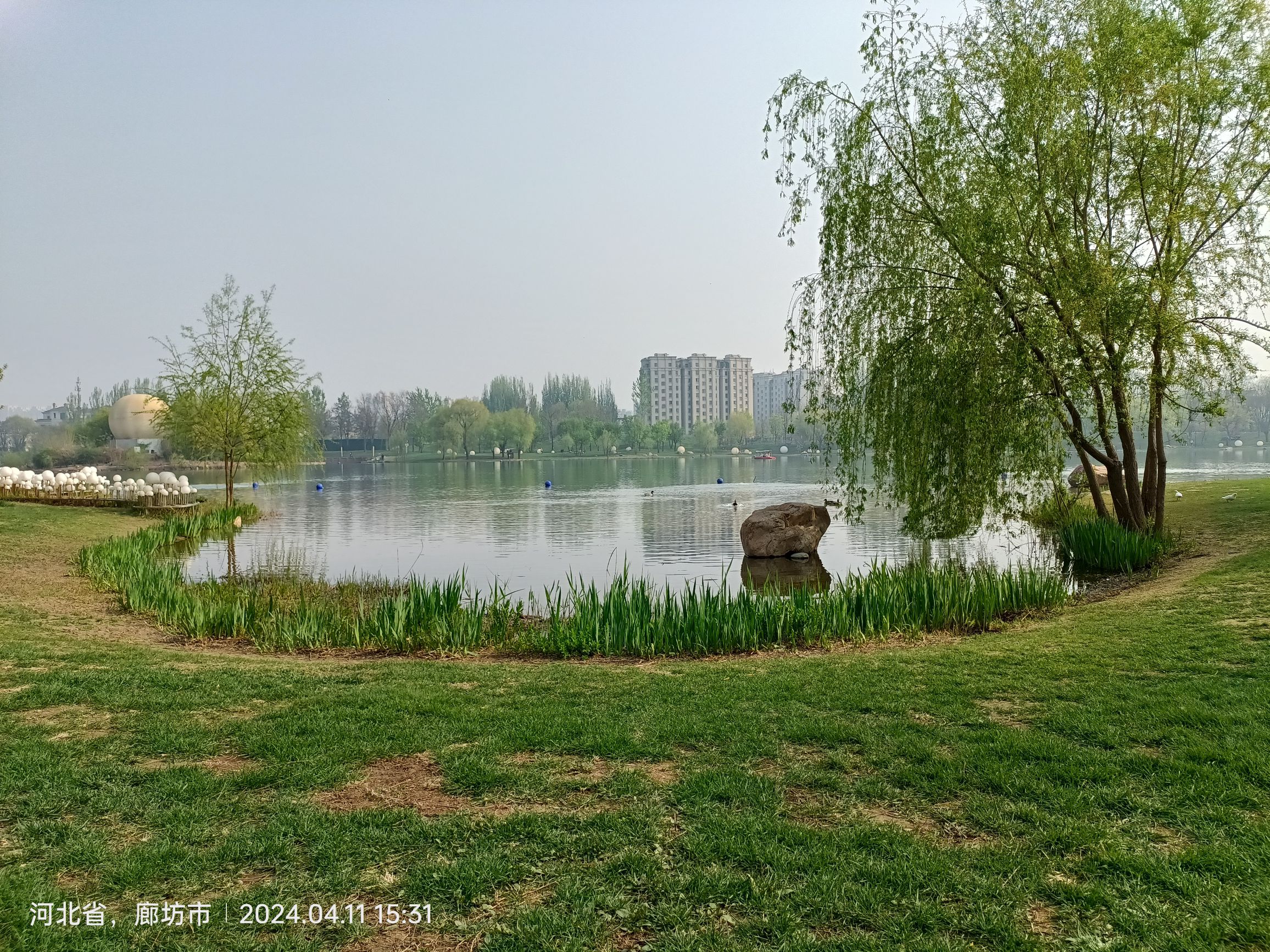 固安孔雀城大湖公园旅行图片 1