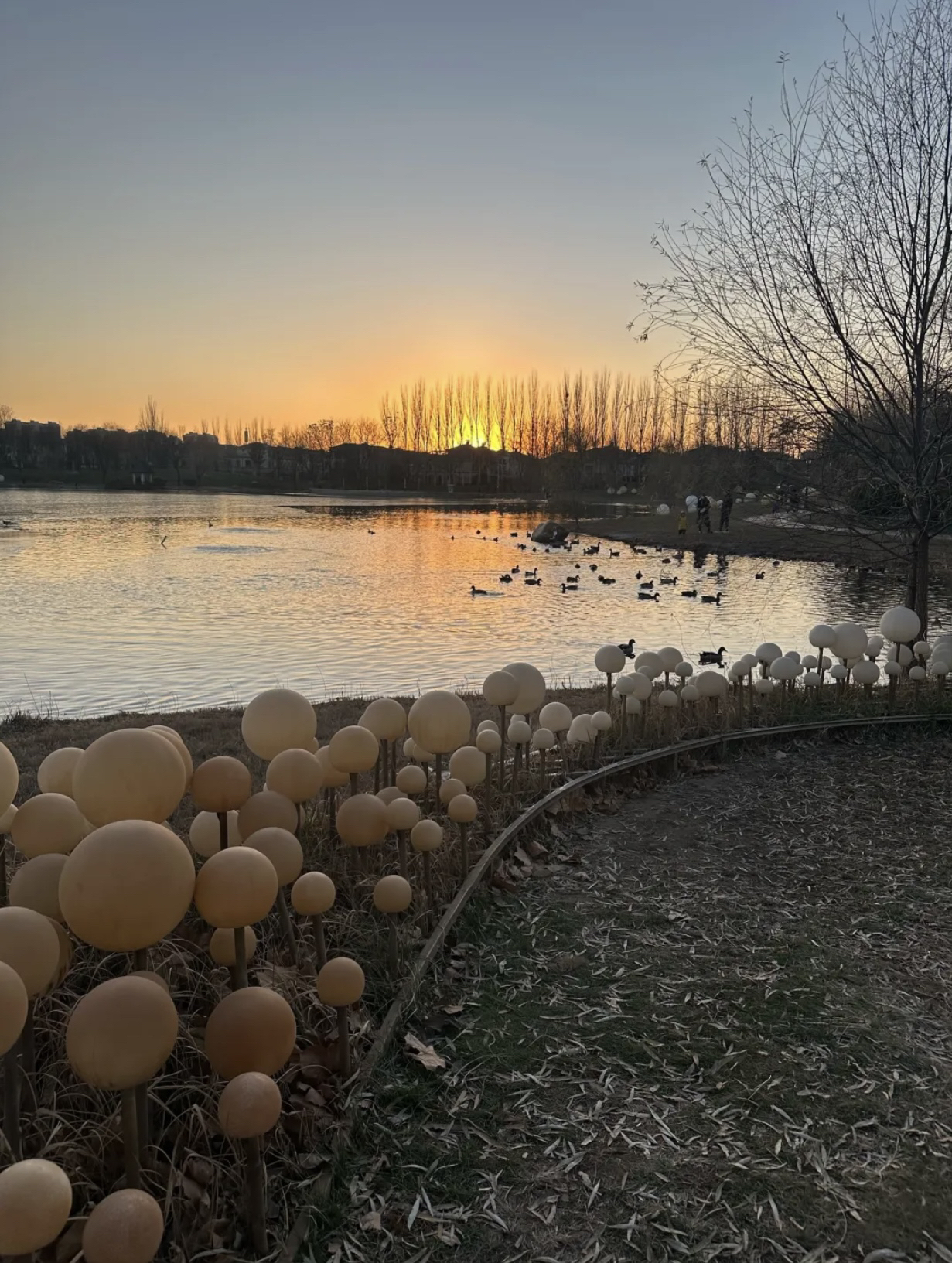 固安孔雀城大湖公园旅行图片 1