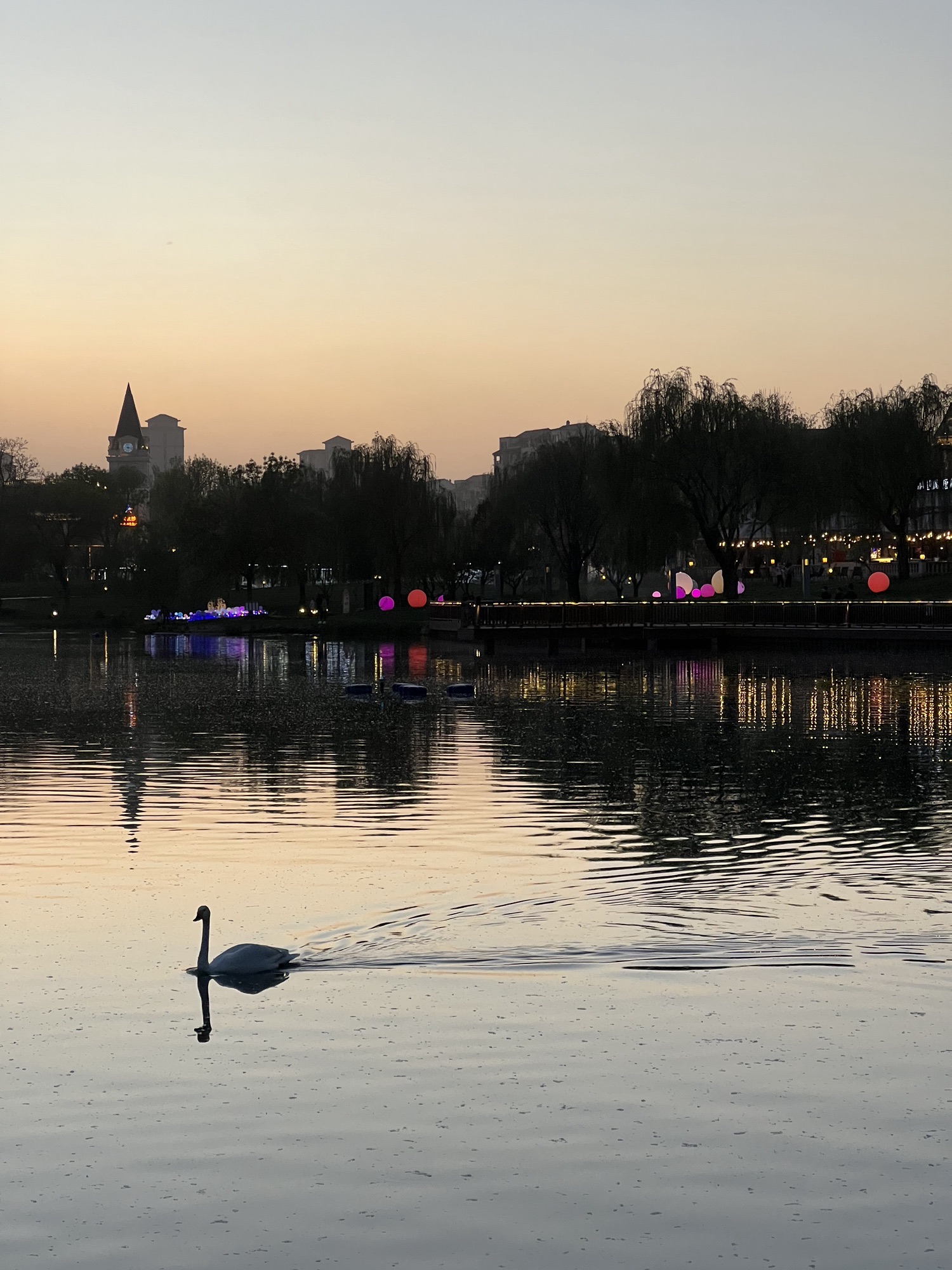 固安孔雀城大湖公园旅行图片 2