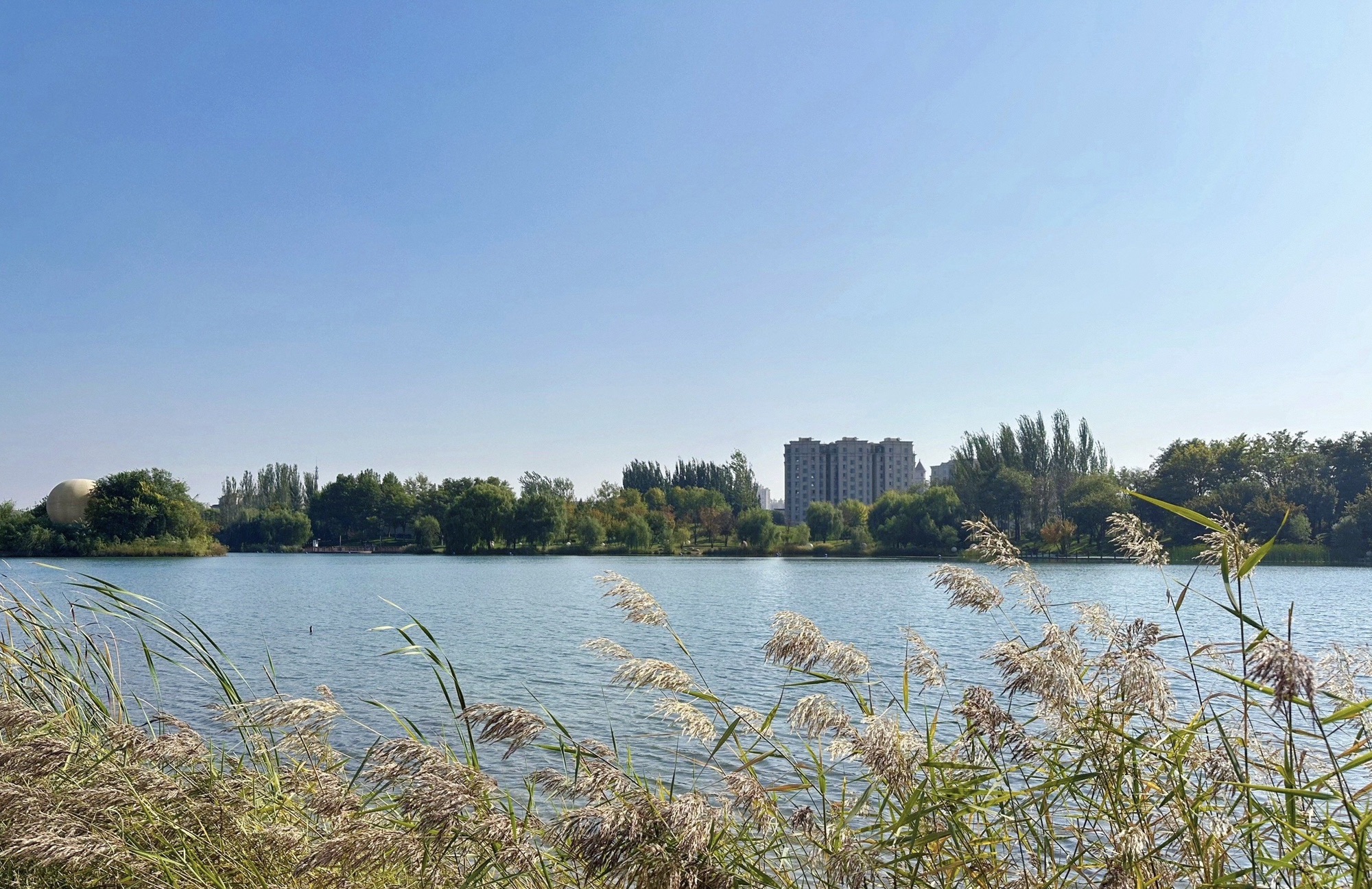固安孔雀城大湖公园旅行图片 2