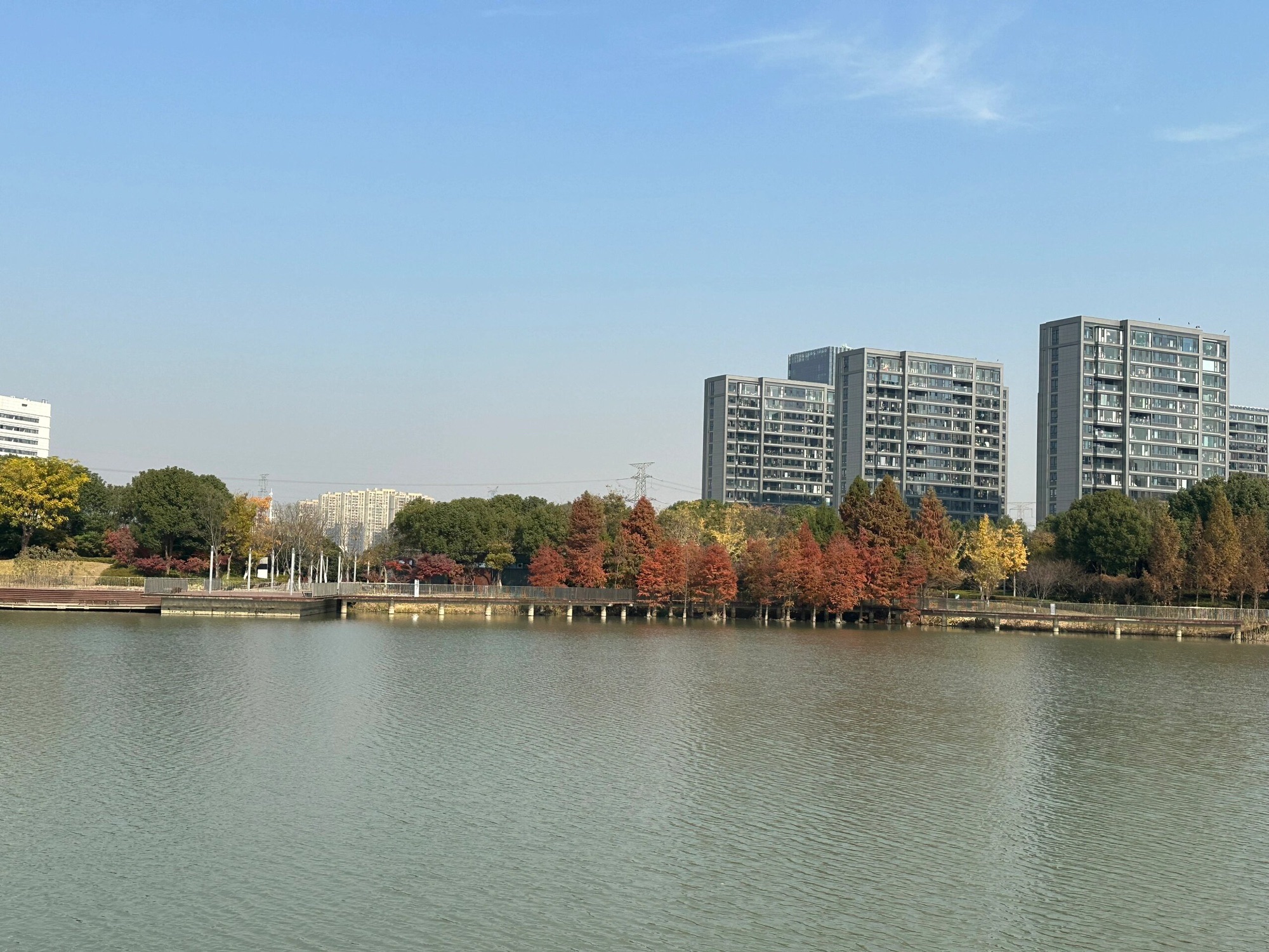 天鹅湖公园旅行图片 2