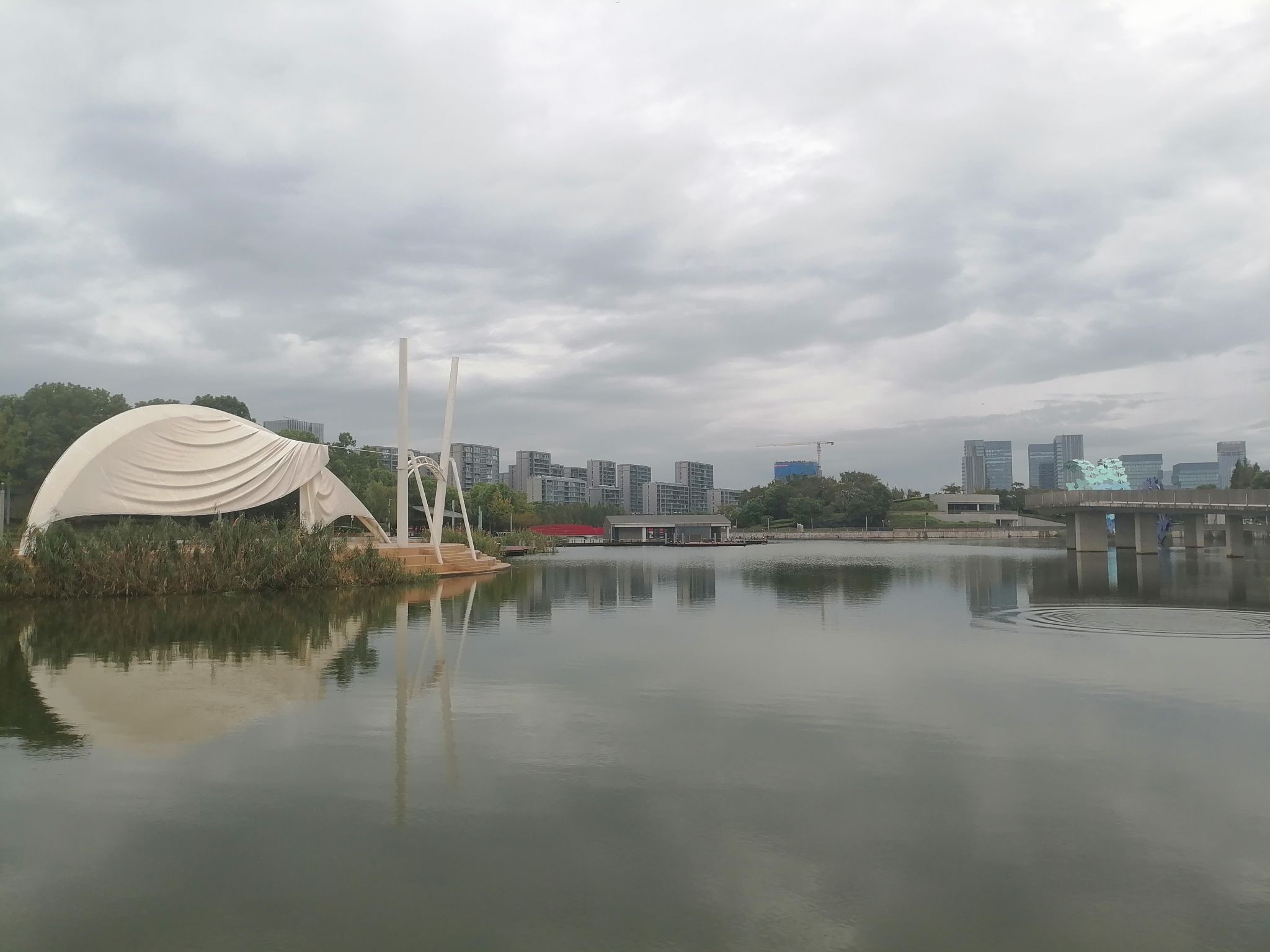 天鹅湖公园旅行图片 2