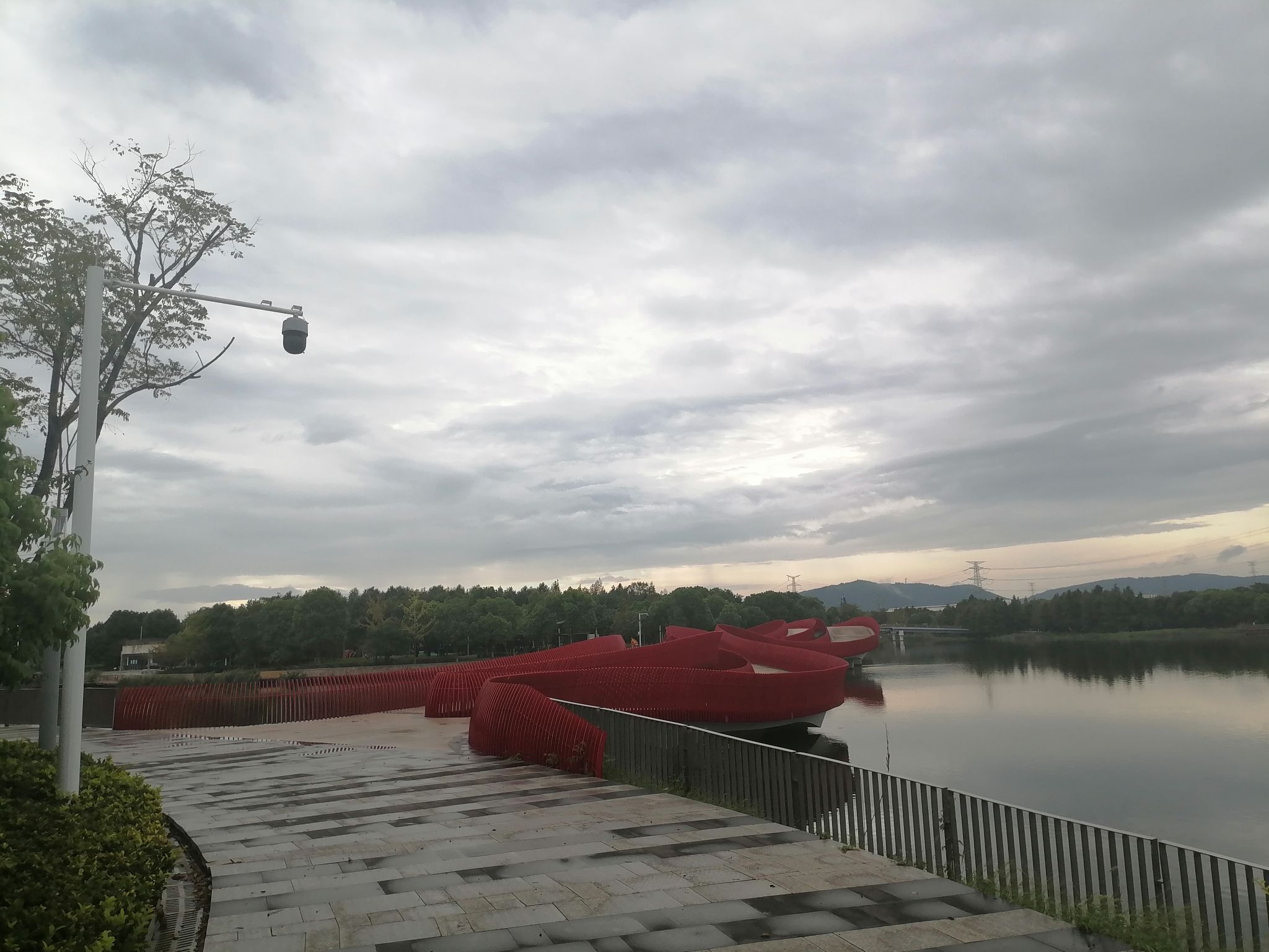天鹅湖公园旅行图片 3