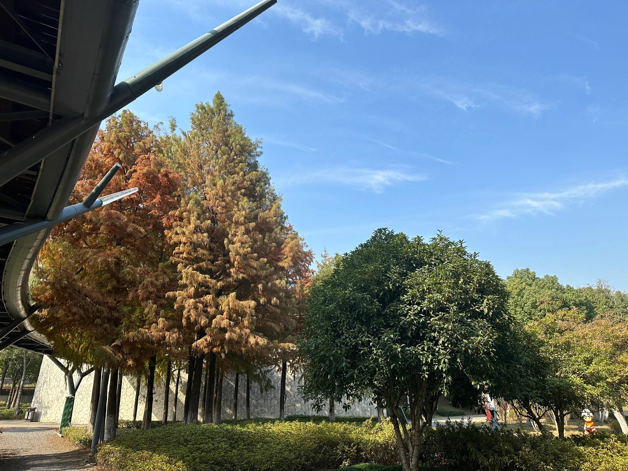 天鹅湖公园旅行图片 3