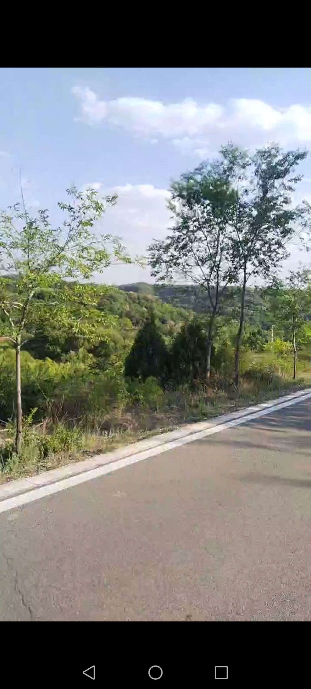 长子县木化石公园旅行图片 1