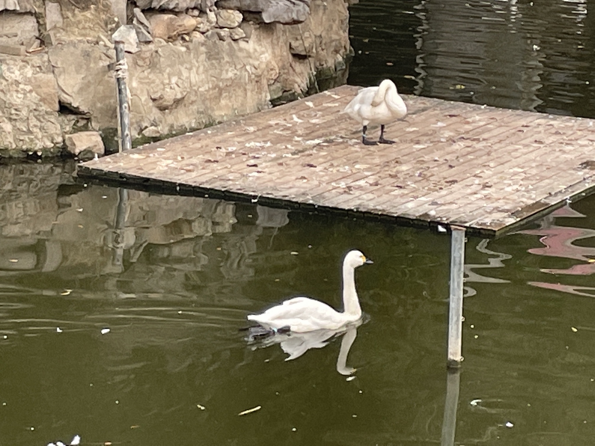 环秀湖体育休闲公园旅行图片 2