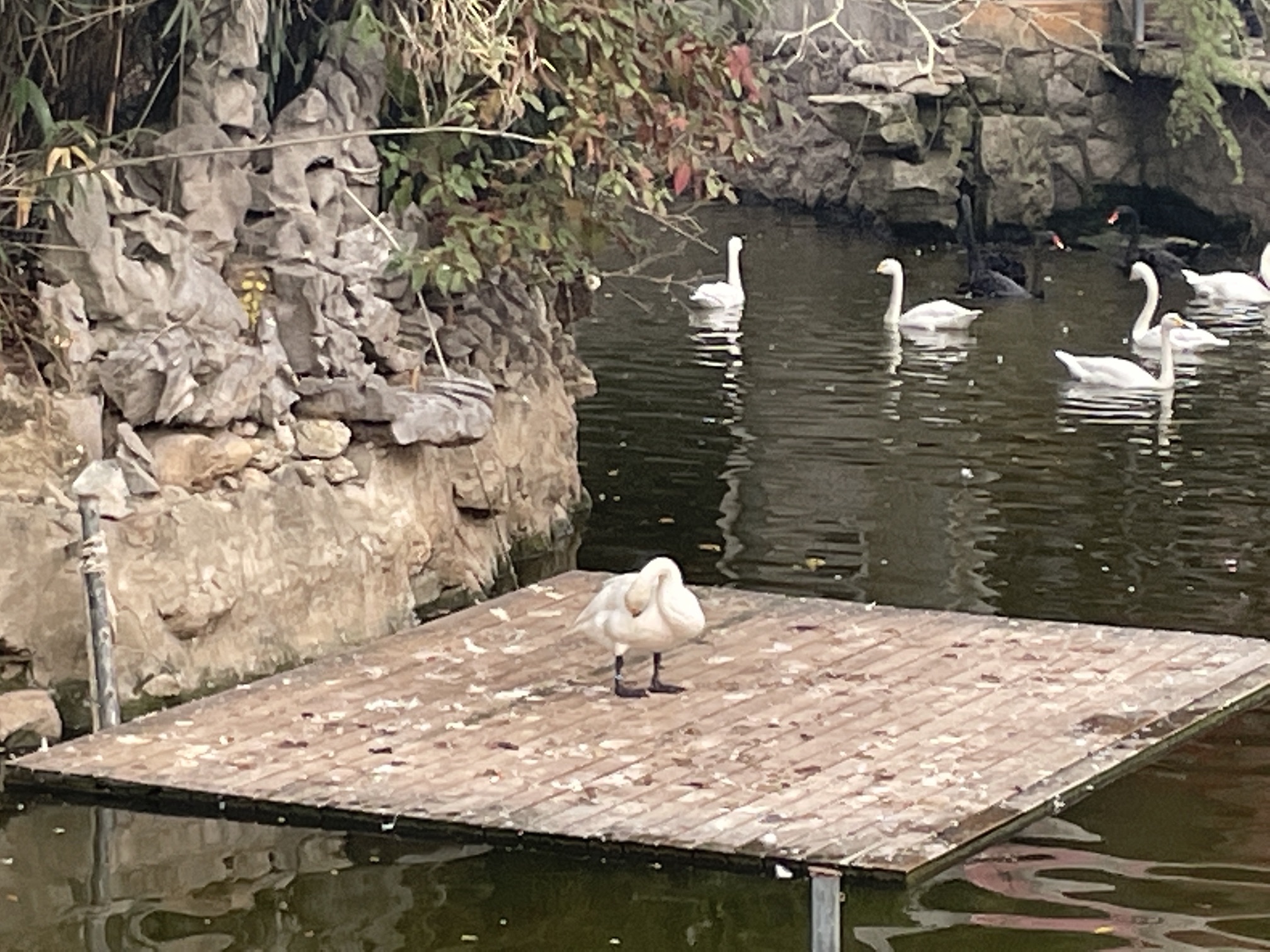 环秀湖体育休闲公园旅行图片 3