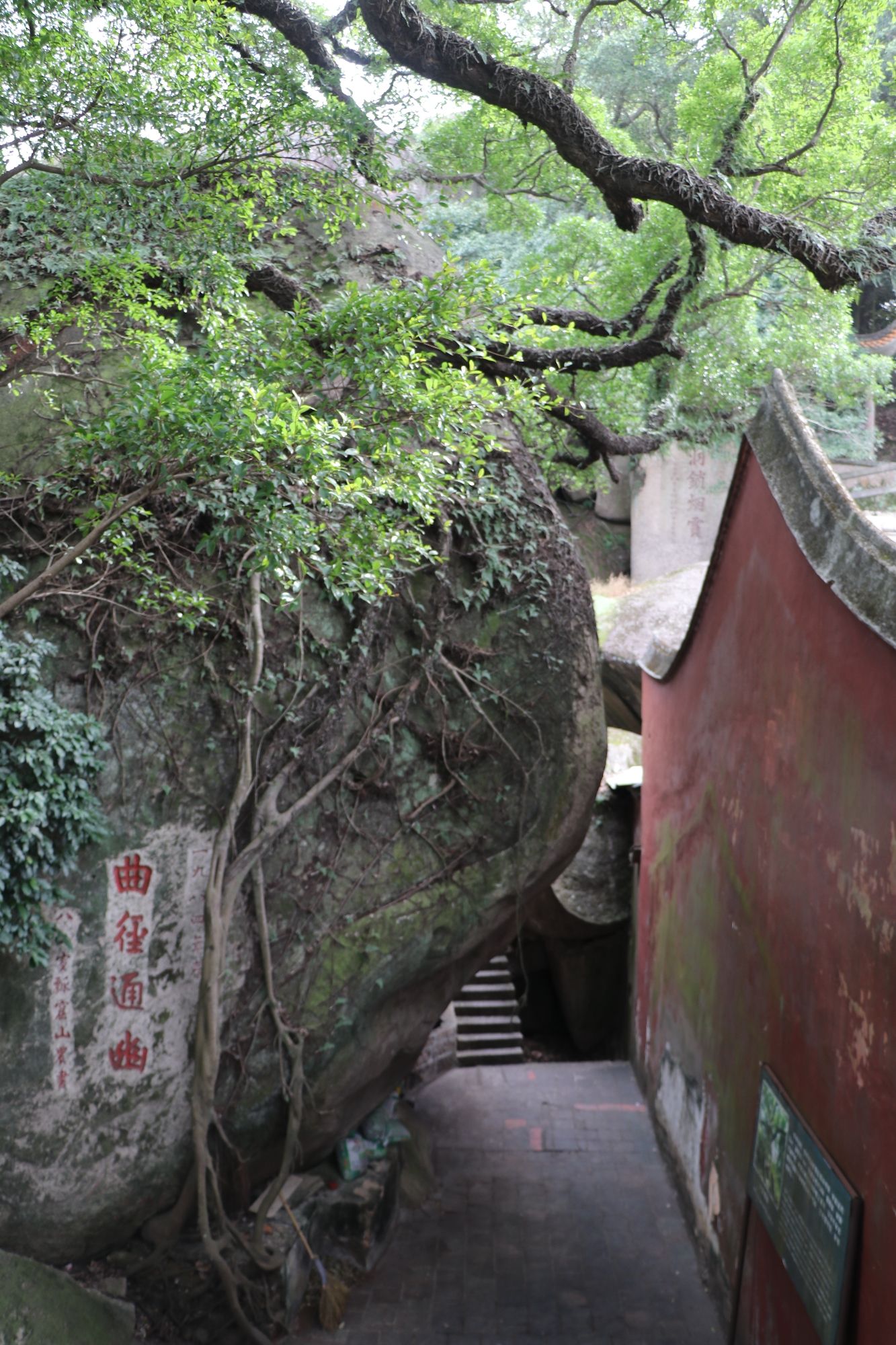 竹田岩旅行图片 2