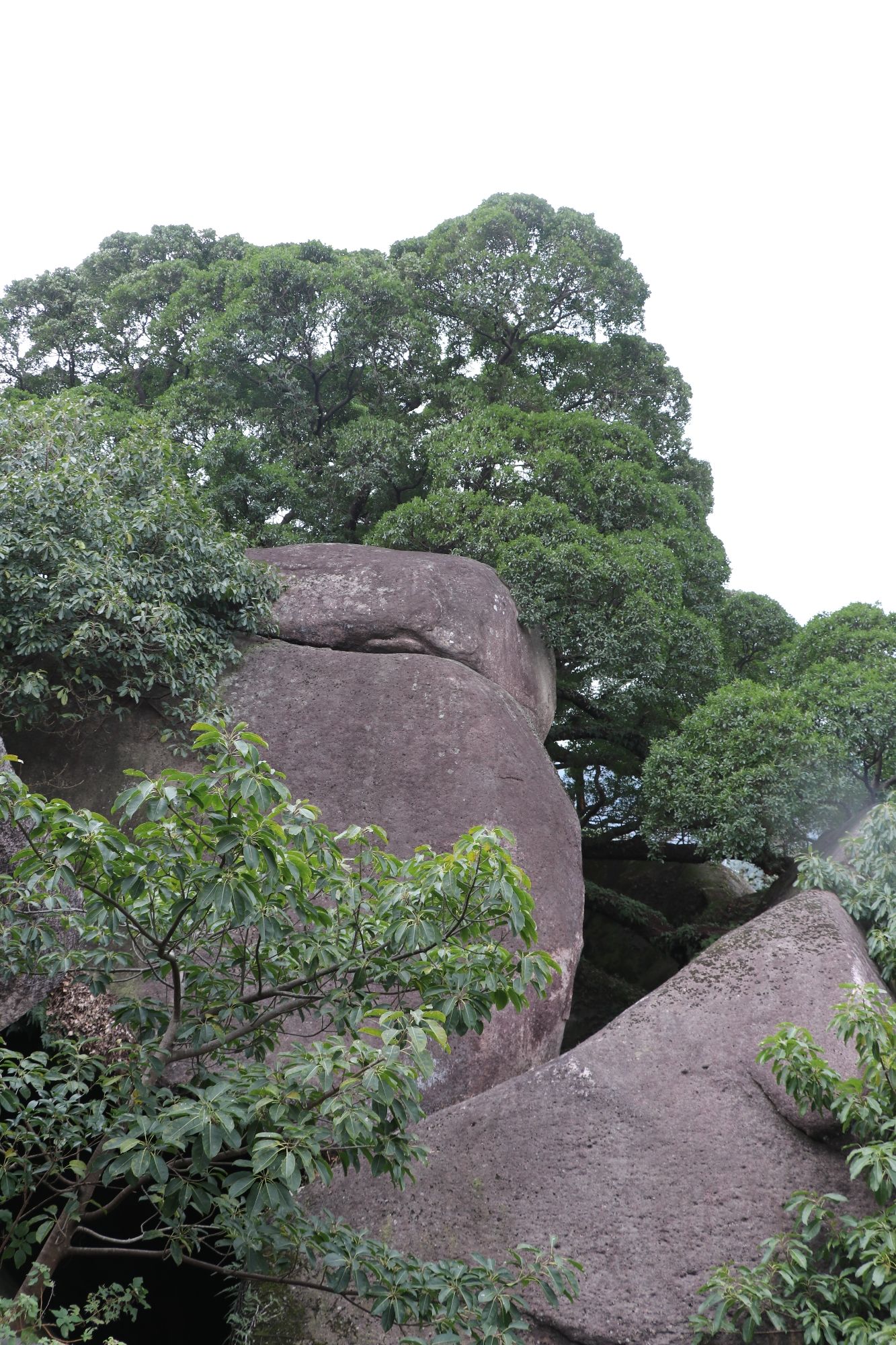 竹田岩旅行图片 3