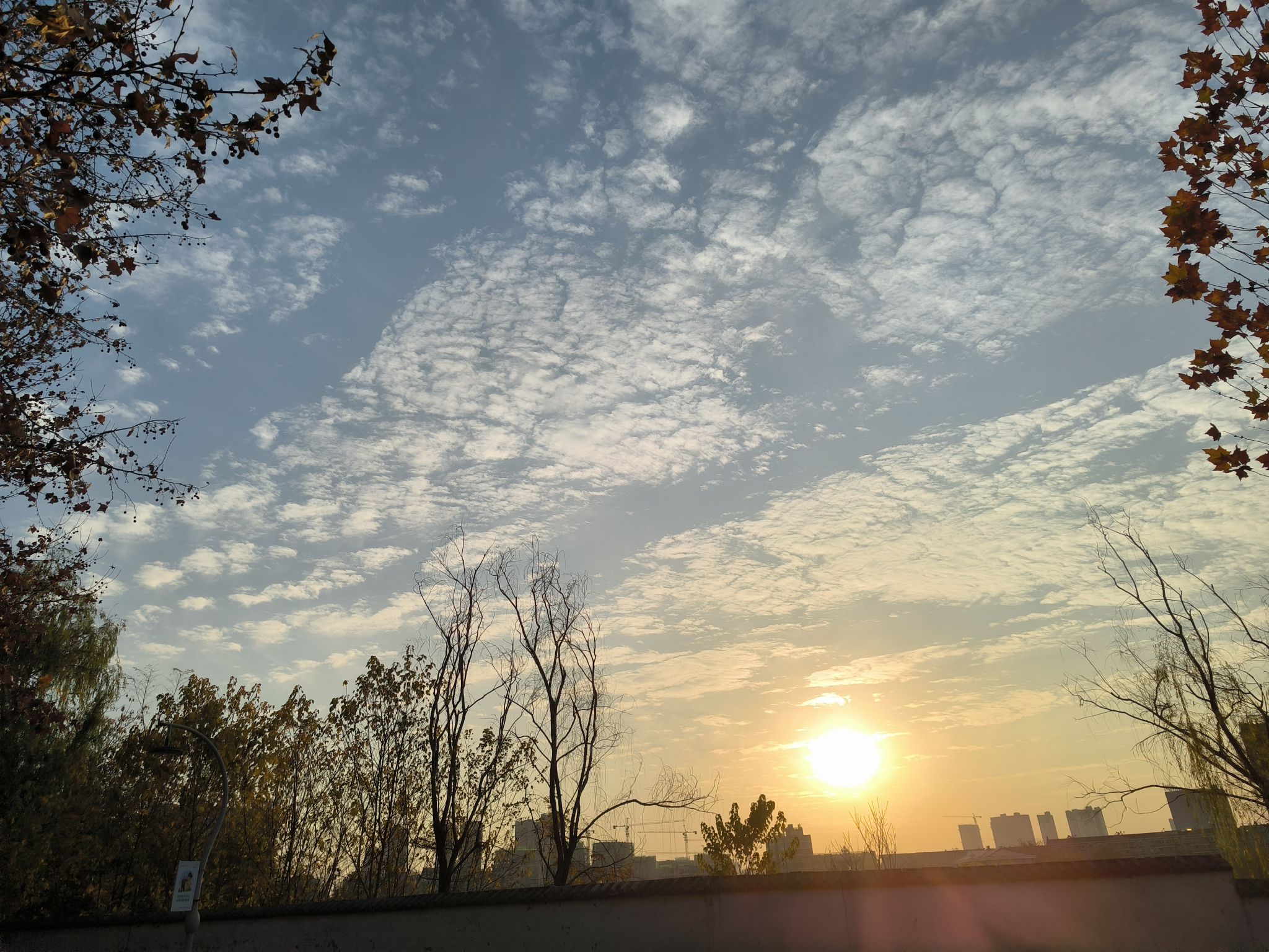 三角洲公园旅行图片 1