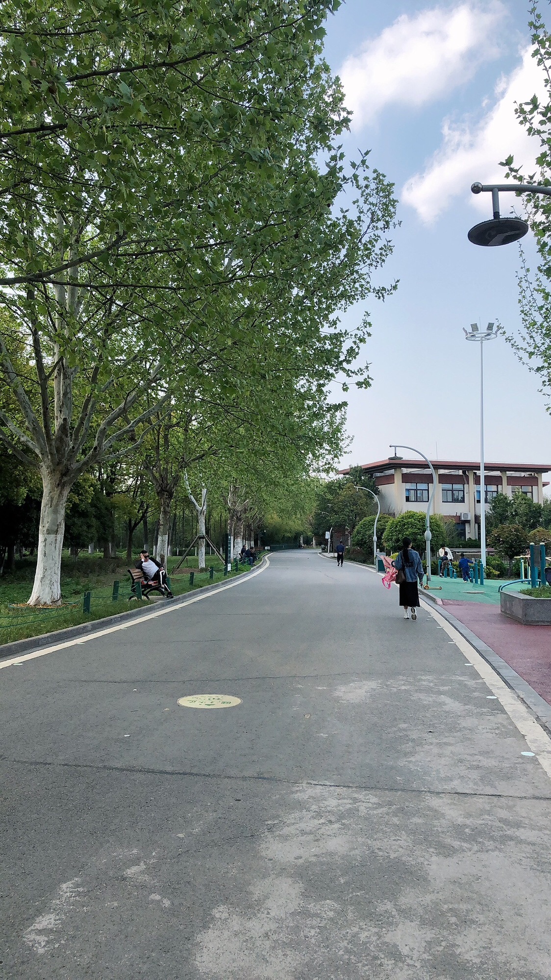 三角洲公园旅行图片 3