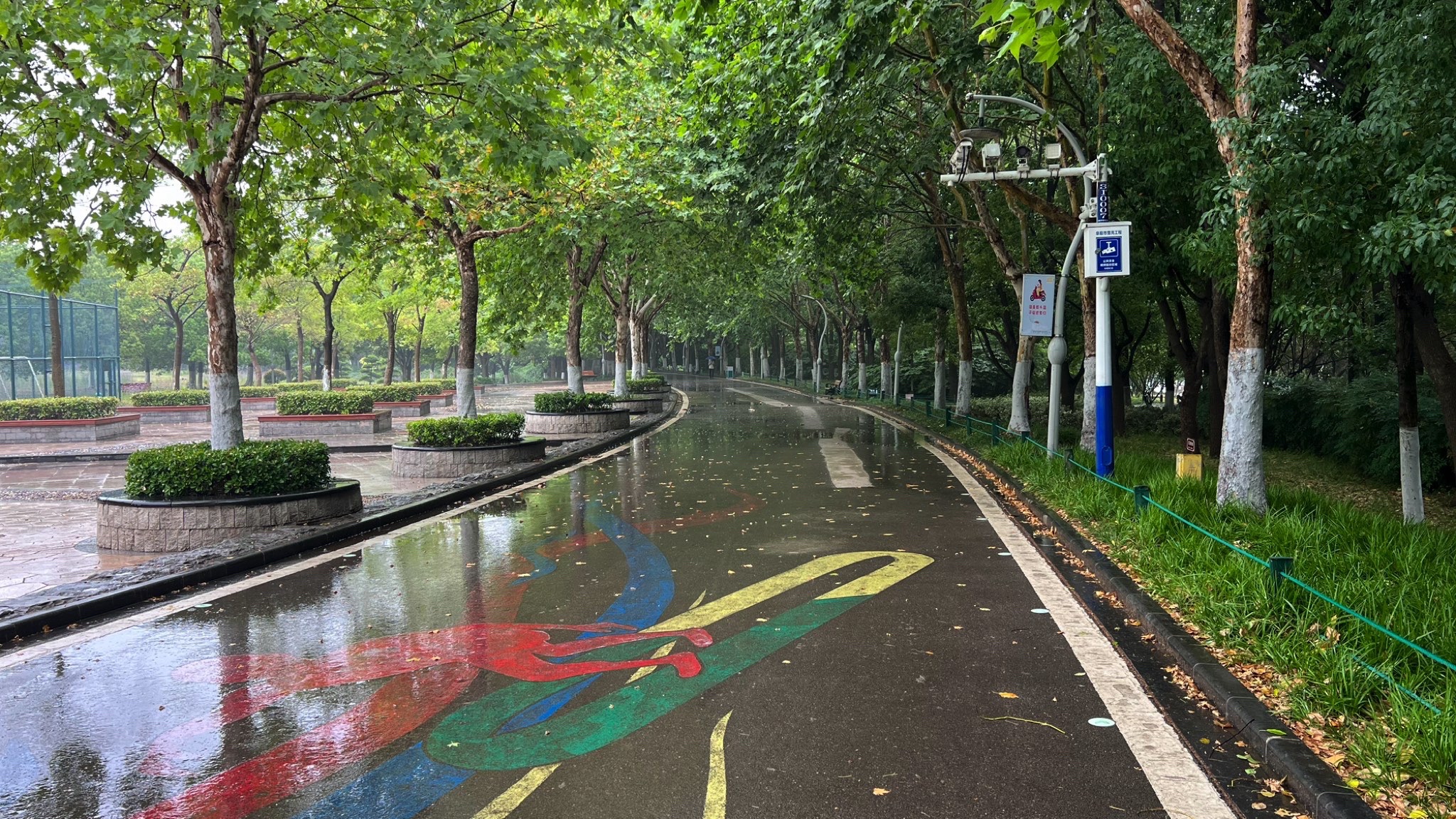 三角洲公园旅行图片 2