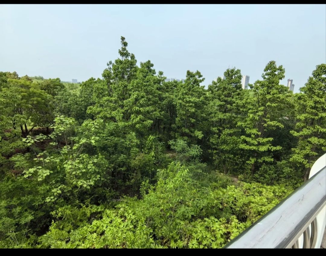 三角洲公园旅行图片 2