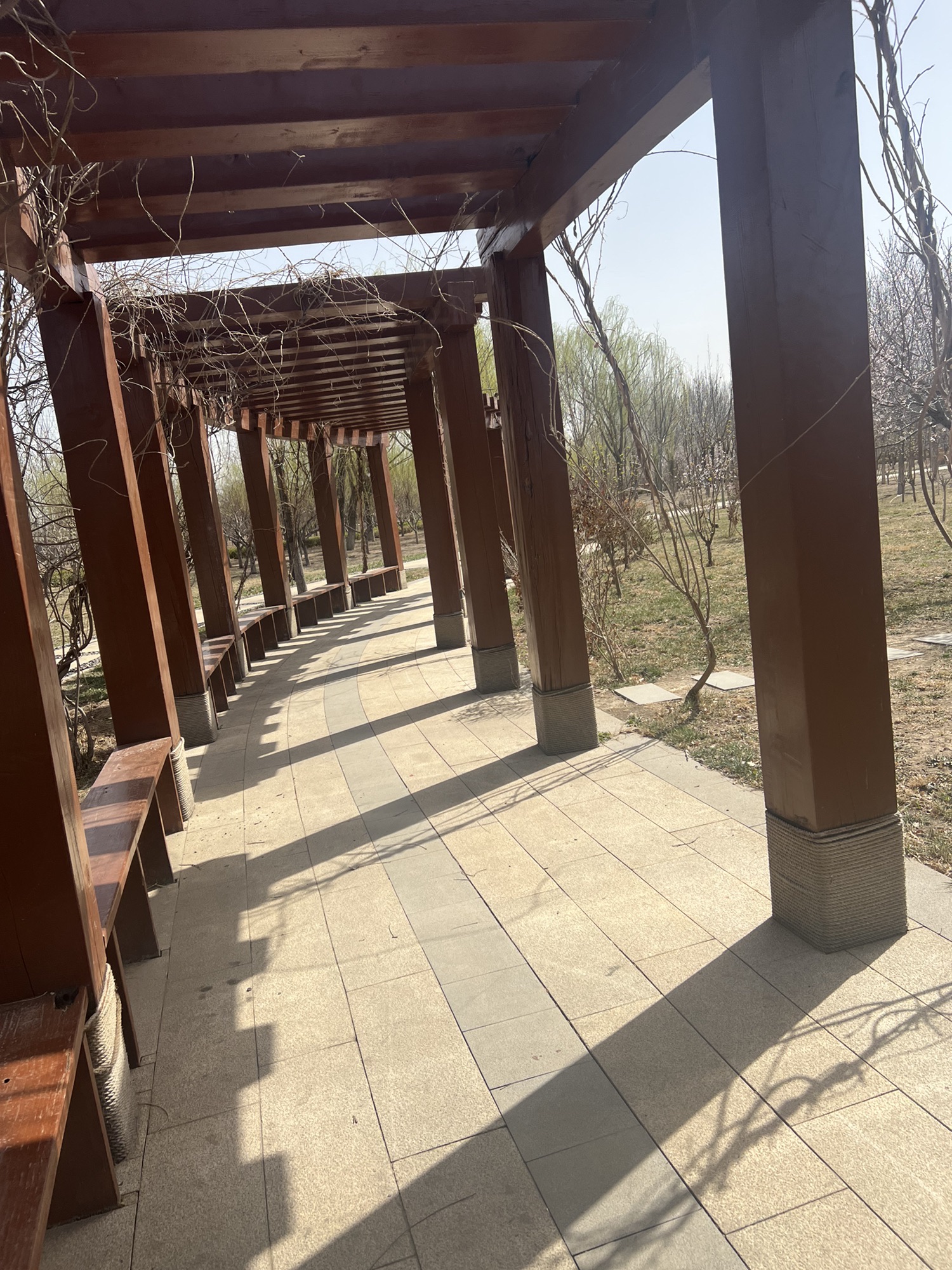 新立郊野公园旅行图片 2