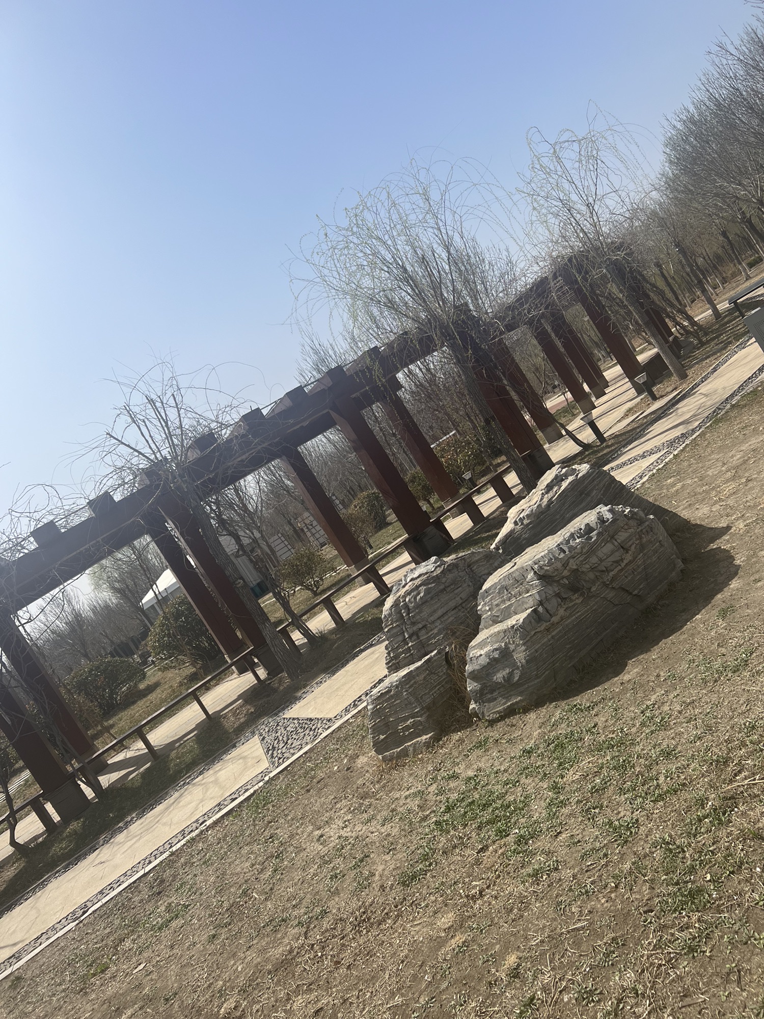 新立郊野公园旅行图片 2