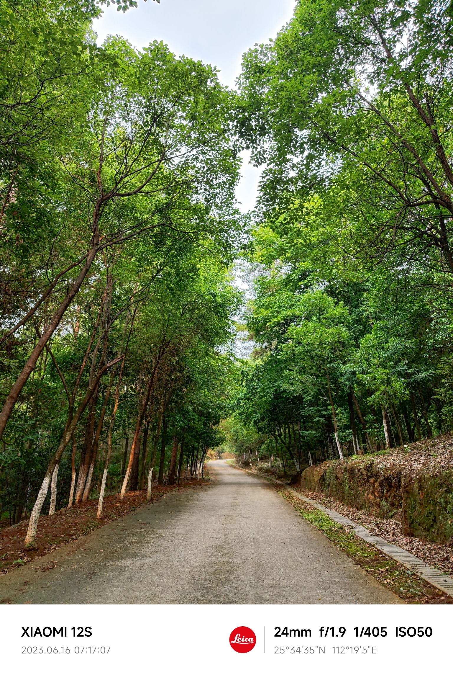 南岭森林公园旅行图片 2