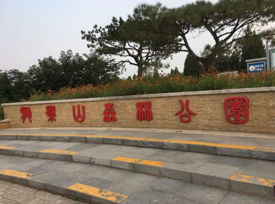 章丘龙盘山森林公园旅行图片 1