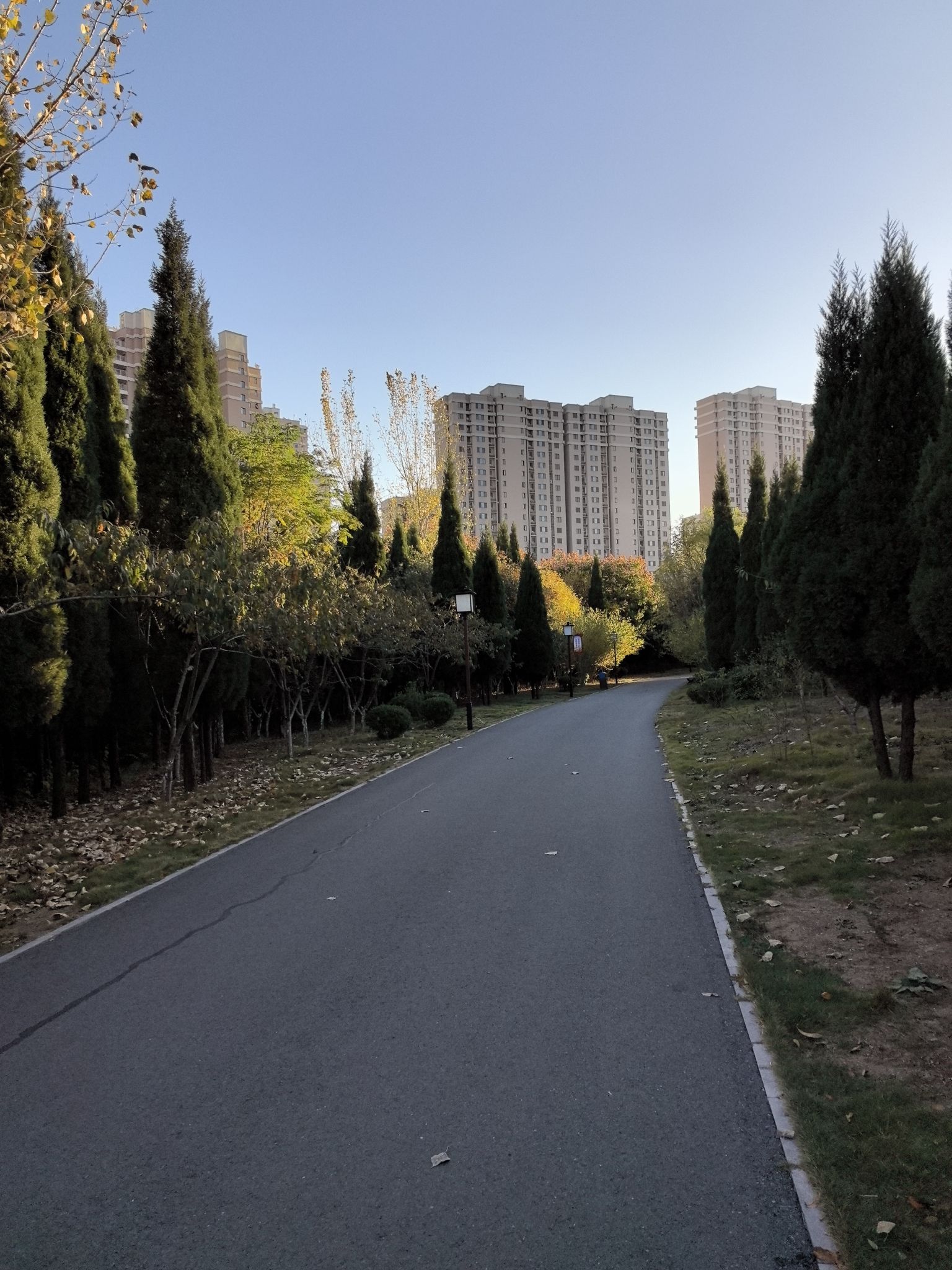 章丘龙盘山森林公园旅行图片 3